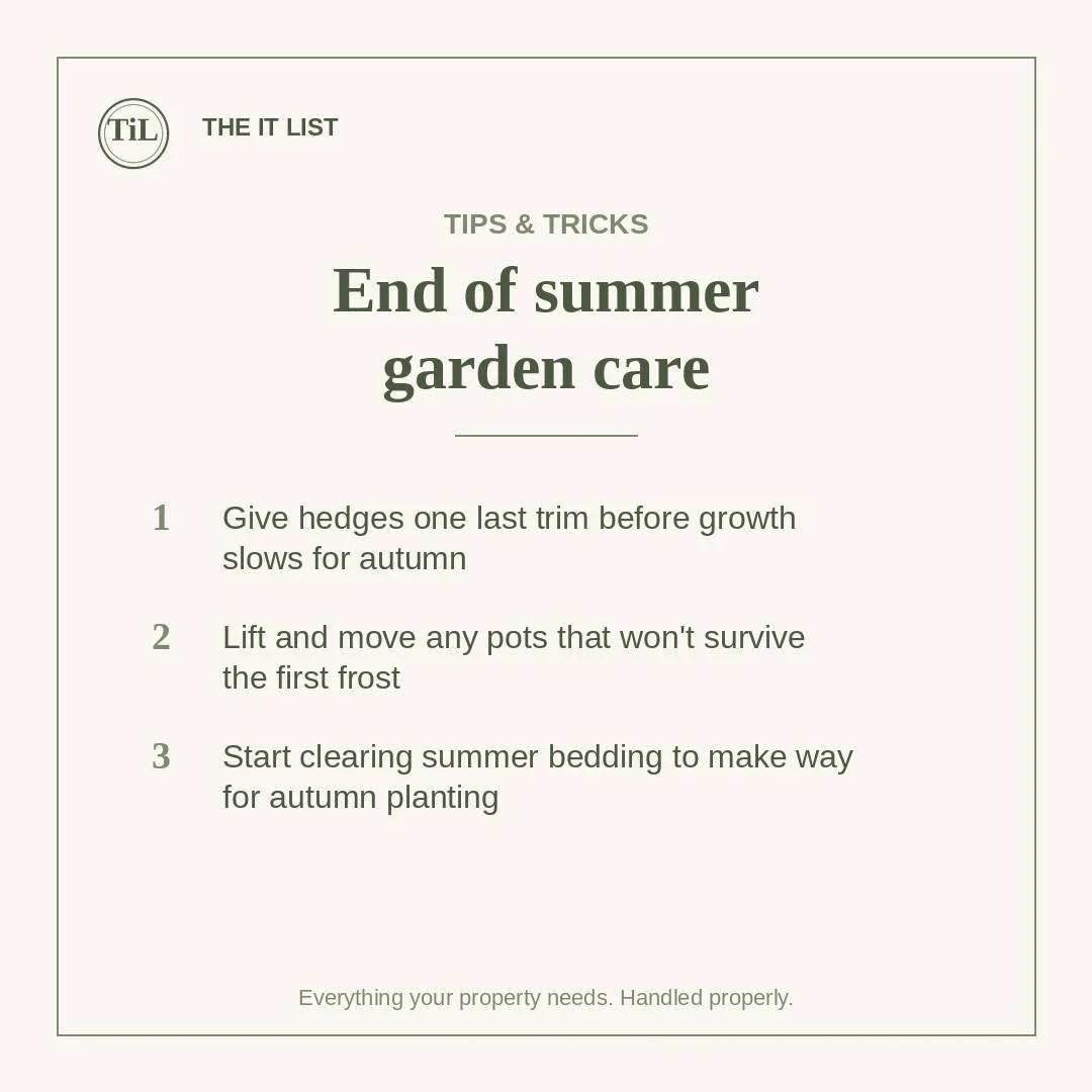 August's the moment to start thinking ahead in the garden &mdash; a few things worth doing now before autumn creeps in.

#GardenTips #EndOfSummerGarden #WestSussexGardens #TheItList #GardenCarePetworth