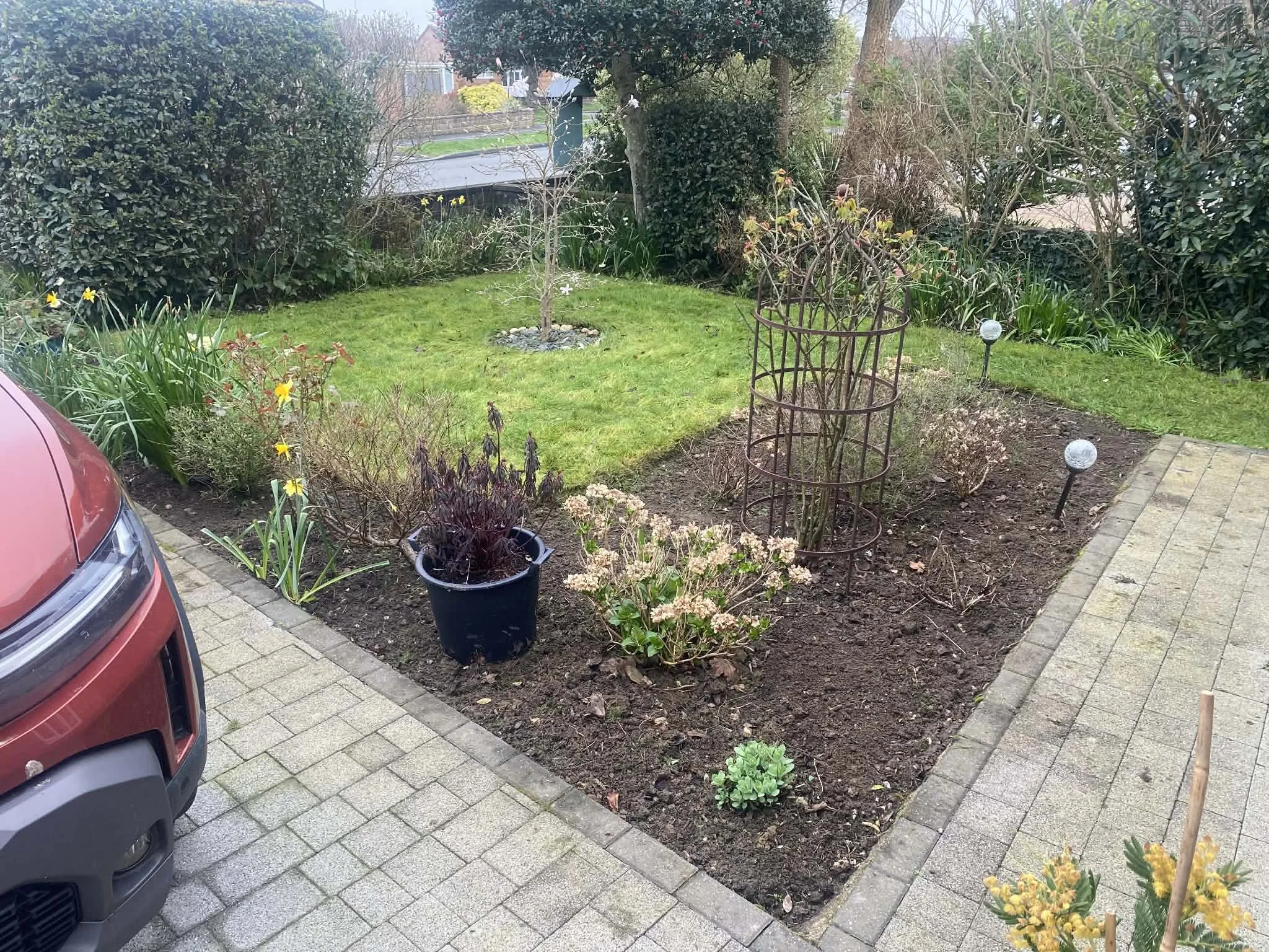 A front yard with a small tree in a circular rock bed, surrounded by bushes and flowers. There is a grassy area, a garden with plants, and a metal plant support structure. A pathway with pavers runs along the garden. Part of a red car is visible on t