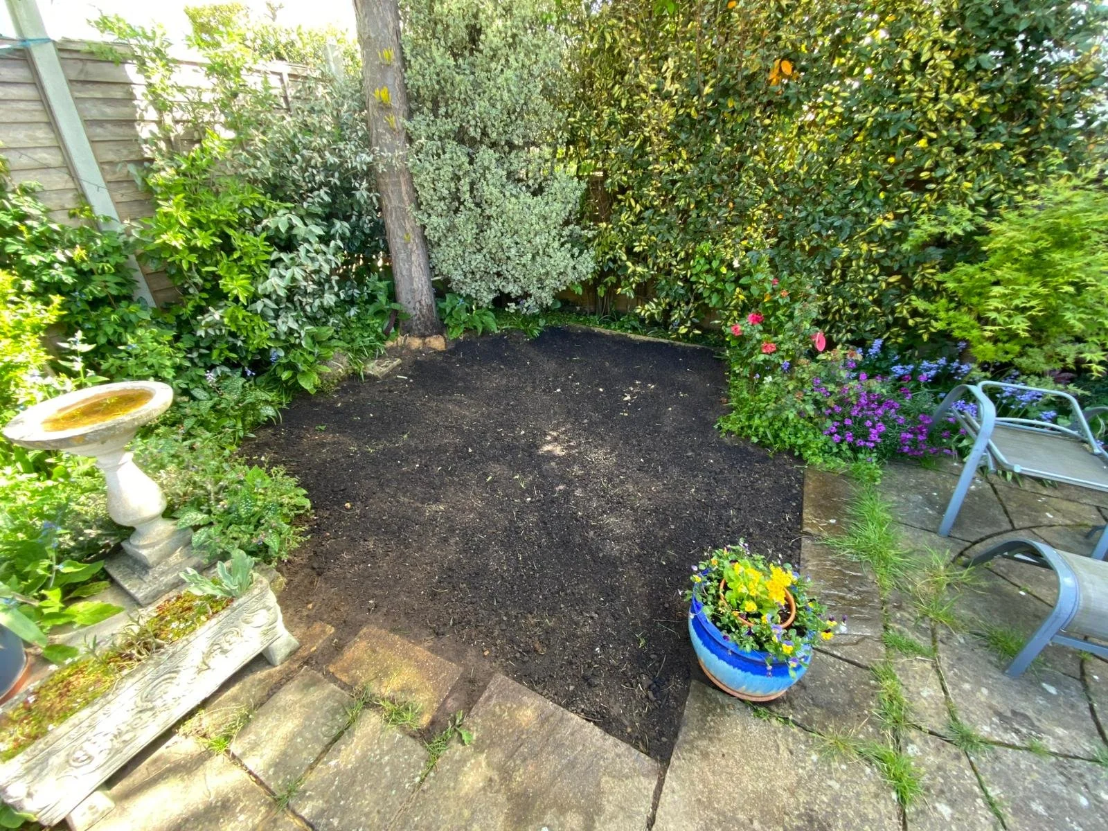 A garden with a central area of freshly turned dark soil, surrounded by various green shrubs and colorful flowers, with a bird bath on the left and a small blue pot of yellow and purple flowers on the right, and a metal garden bench on the right side