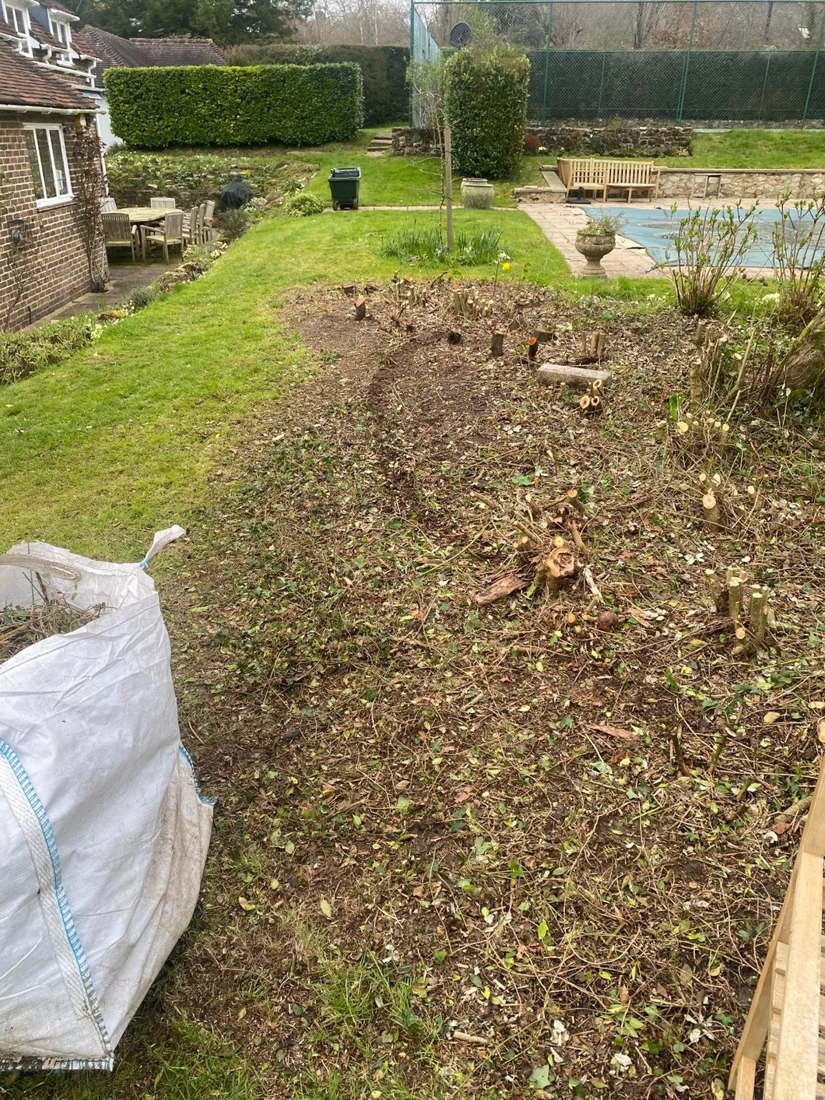 Backyard garden with a mix of cut branches and trimmed shrubs, a white bag of garden waste on the left, a grassy area, patio furniture, a garden bench, and a swimming pool in the background, with a chain-link fence.