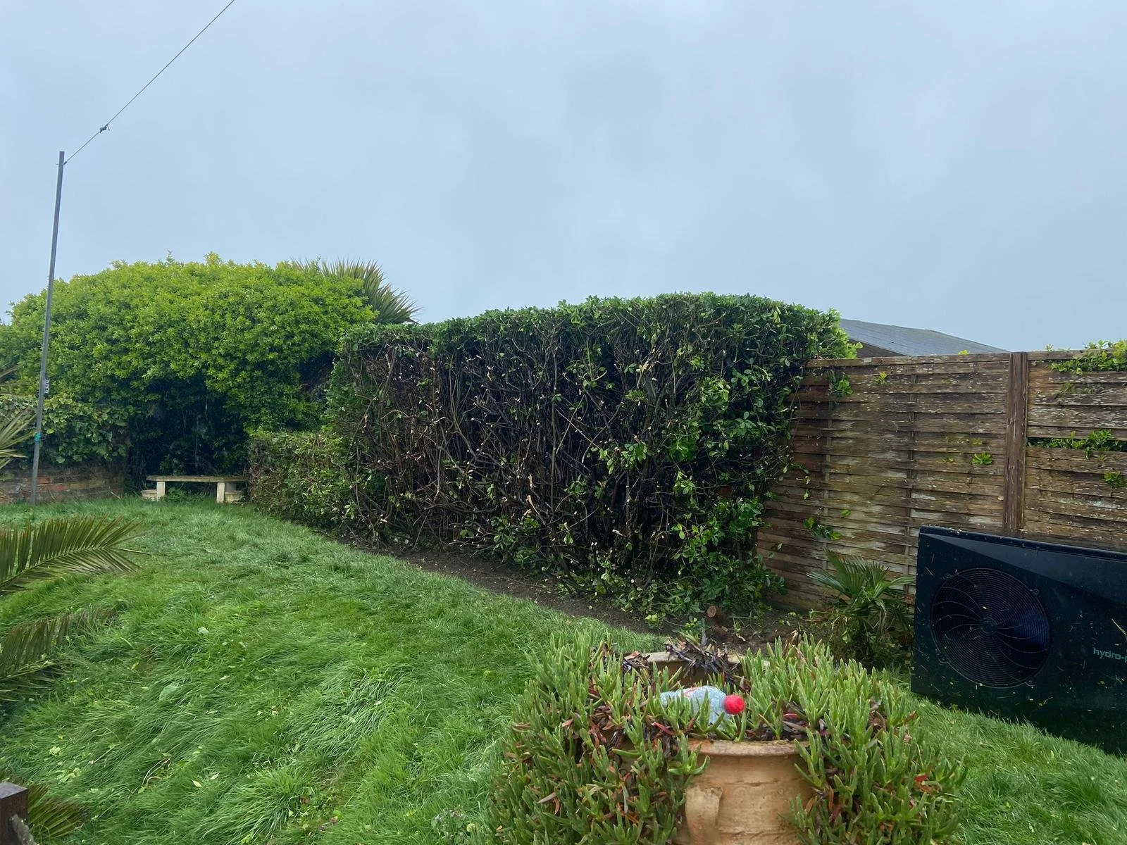 A garden with green grass, a potted plant with pink flowers, bushes, and trees behind a wooden fence, with a cloudy sky overhead.