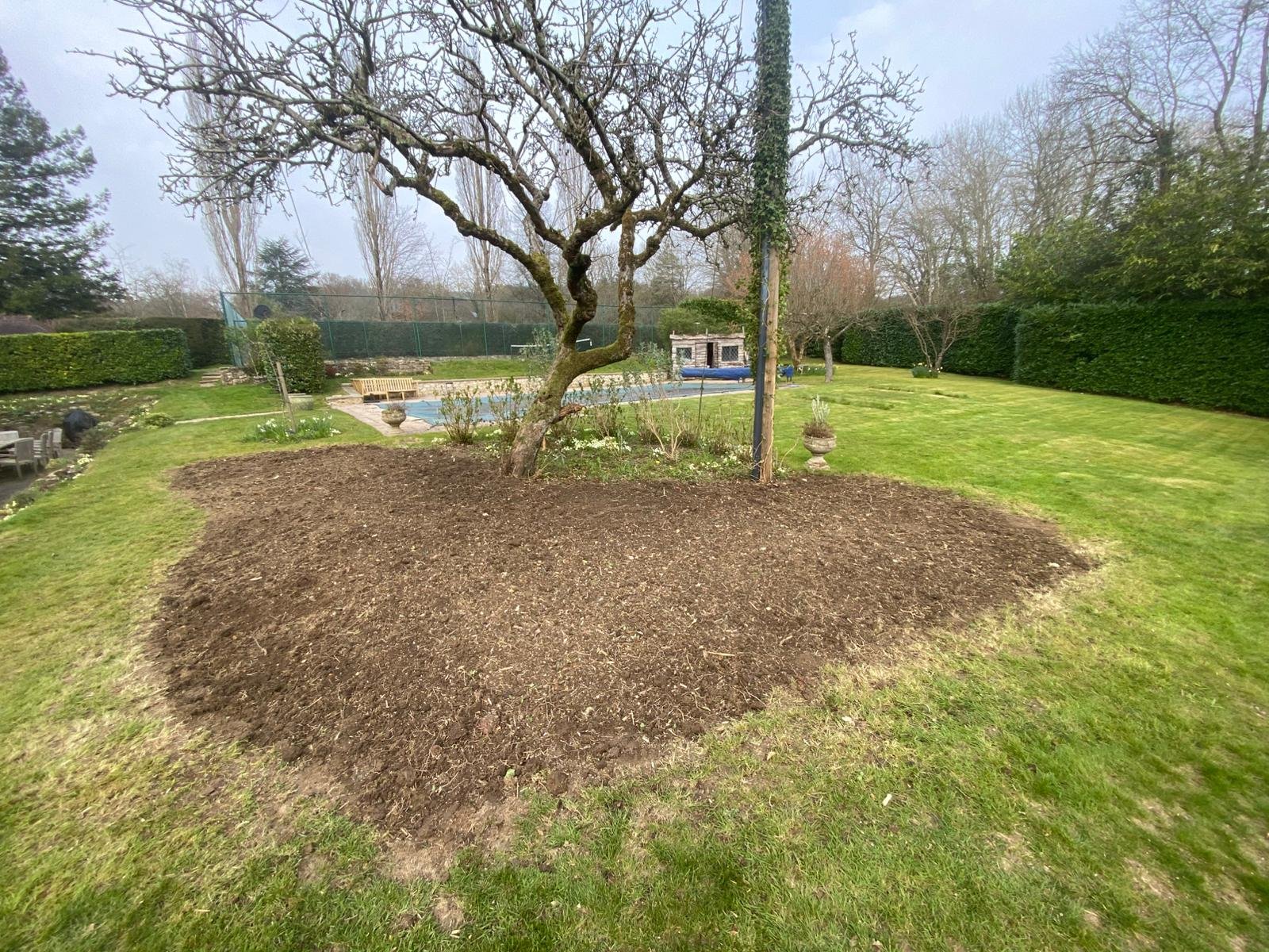 Backyard with a tree surrounded by bare soil, a grass lawn, hedges, a small pool, a masonry shed, and a tennis court in the background.