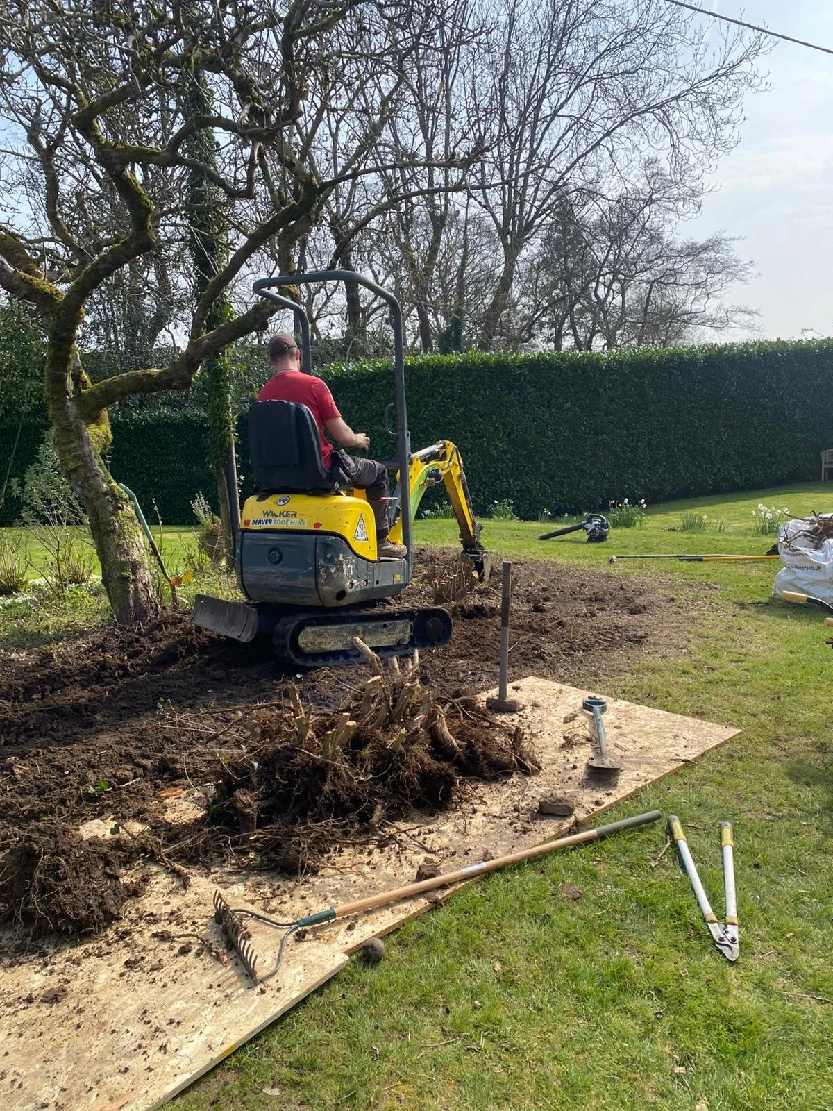 A person operating a small yellow excavator digging up a tree root in a backyard.