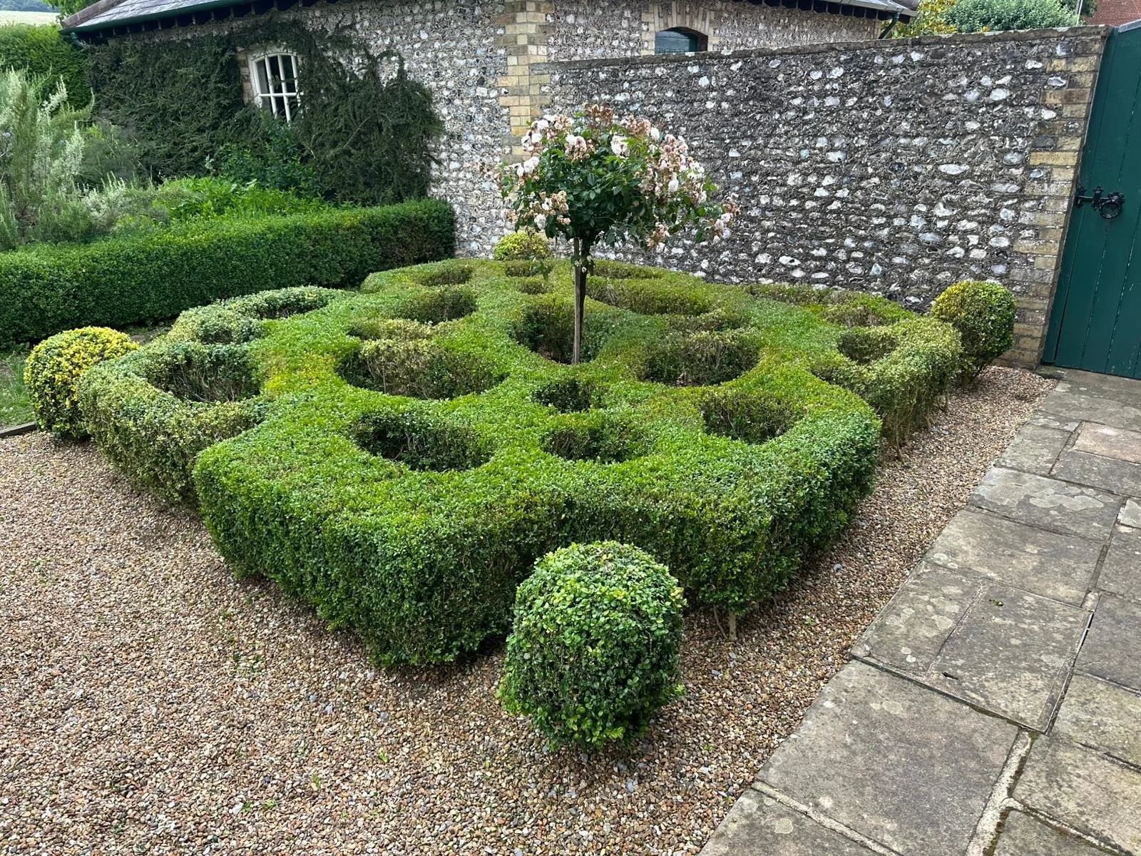 A neatly trimmed, decorative hedge garden with a central tree, bordered by gravel and stone pathway, and a brick and stone building with ivy and trellis in the background.