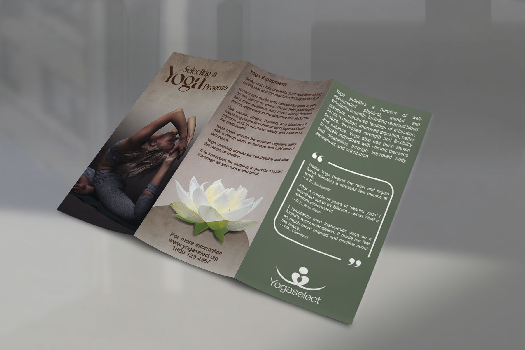 Trifold-Brochure-Mock-Up.jpg