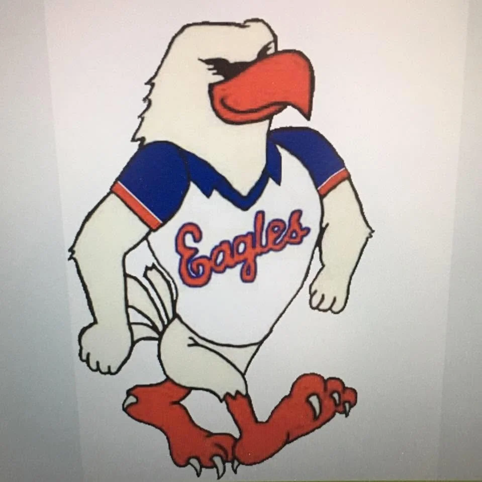 Cartoon eagle with sunglasses, wearing a Philadelphia Eagles jersey, kneeling with one leg up.