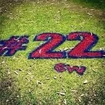 Decorative #22 on grass with pink and purple flowers.