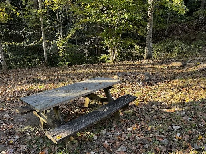 Walk-in primitive site