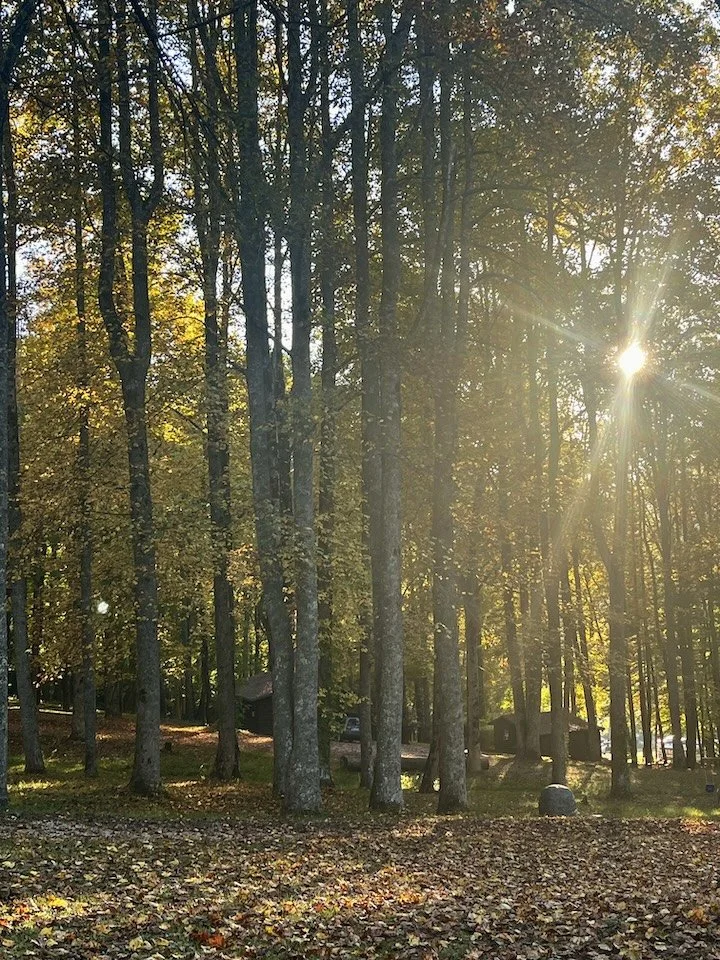 Tent sites