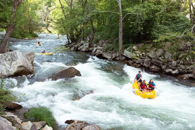 People whitewater rafting through rapids on a forested river