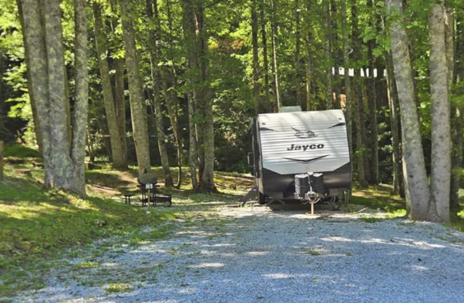 Travel trailer parked on a gravel RV site among tall trees