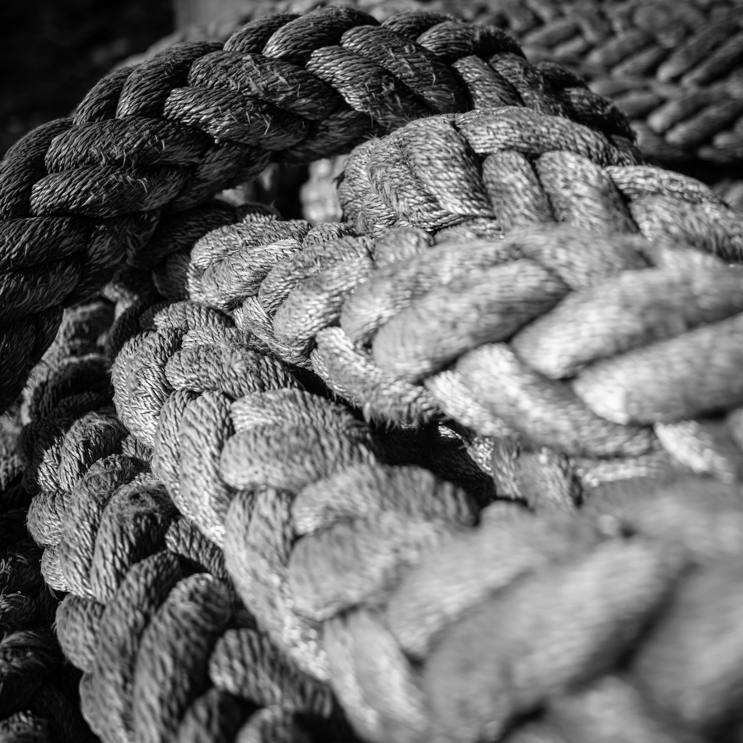 ROPE B&W.jpg