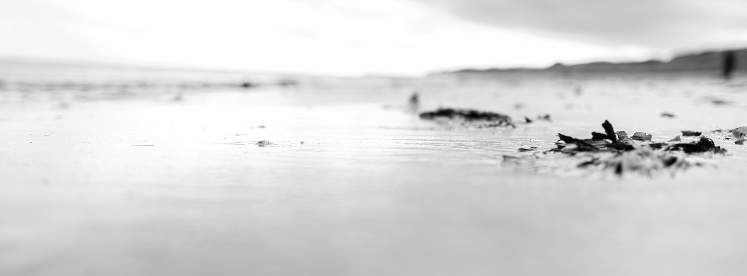 Xpan beach bleached.jpg