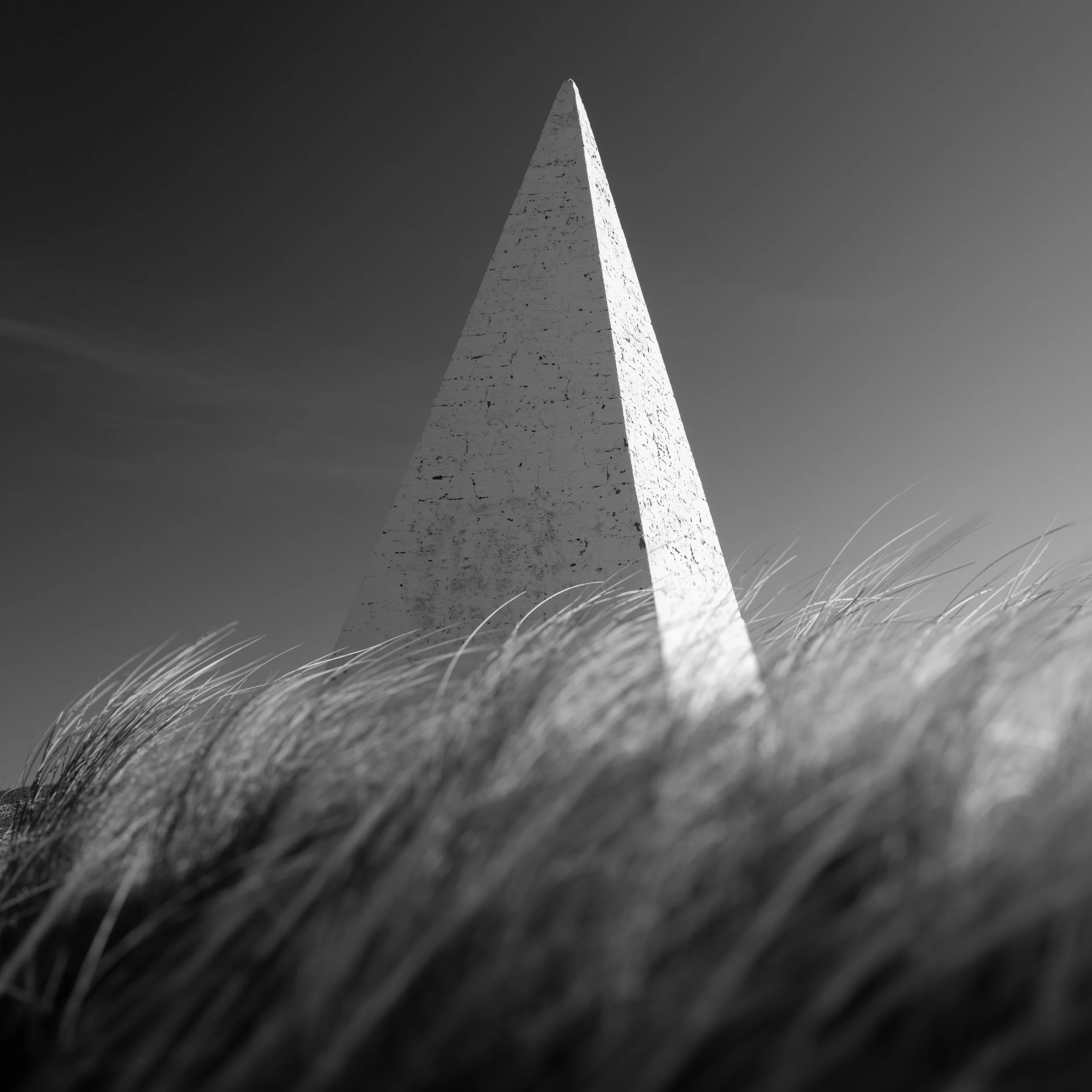 LINDISFARNE BEACON WITH GRASS B&W.jpg