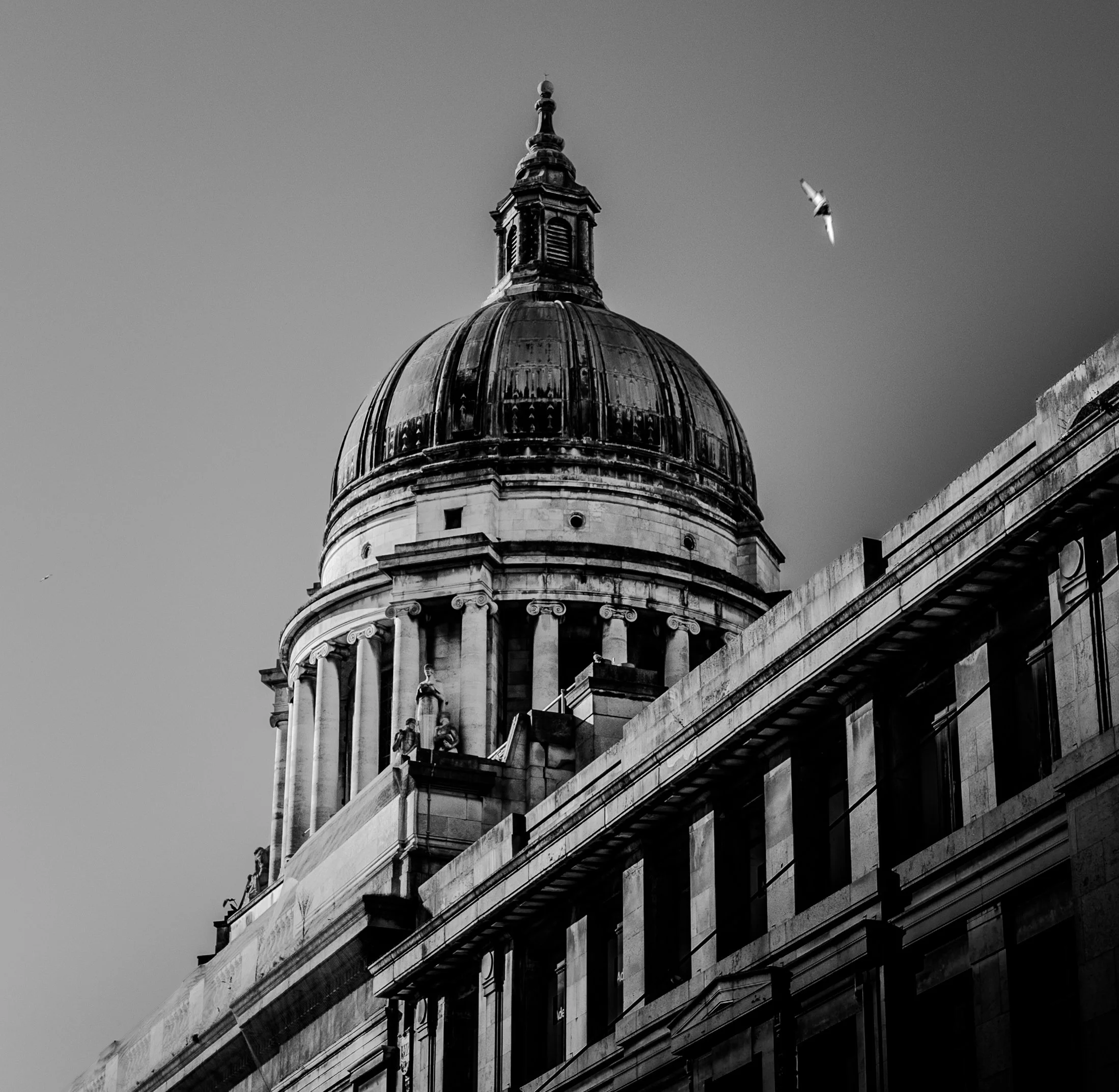 Solo flight B&W.jpg