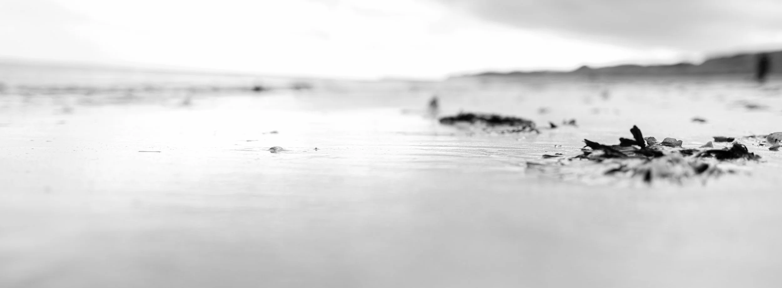 Xpan beach bleached.jpg