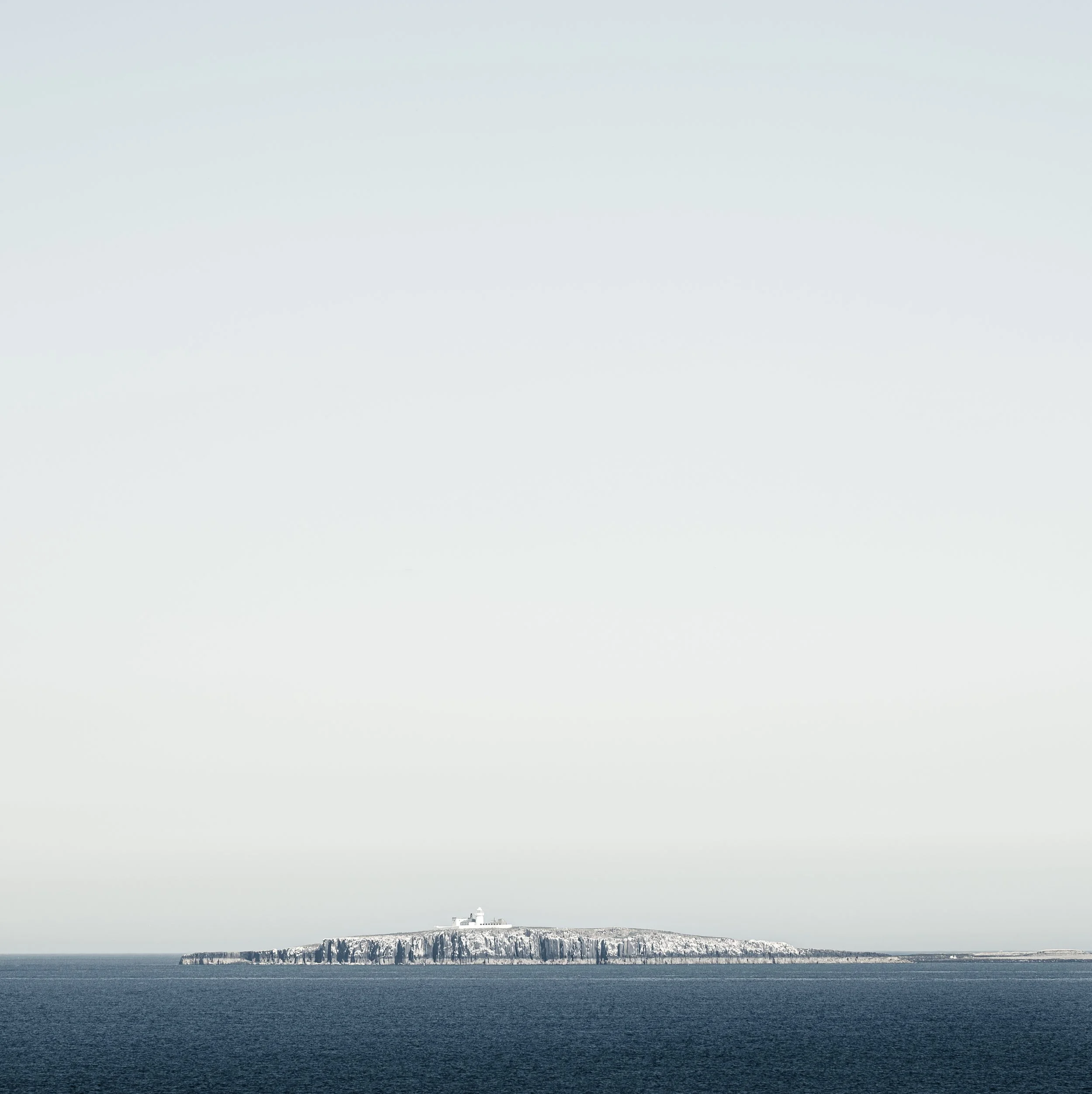 FARNES BLEACHED.jpg