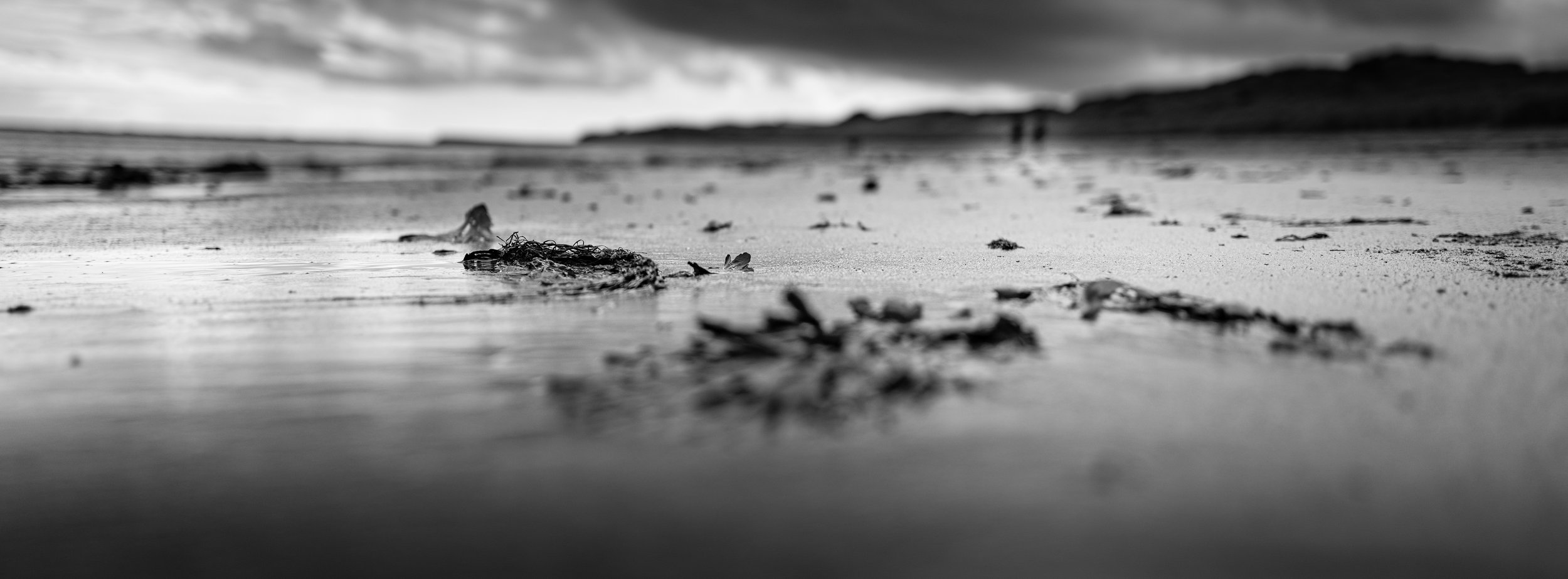 Xpan beach two people walking.jpg