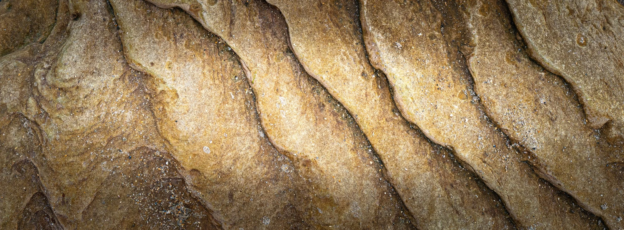 Xpan rocks close up 4.jpg