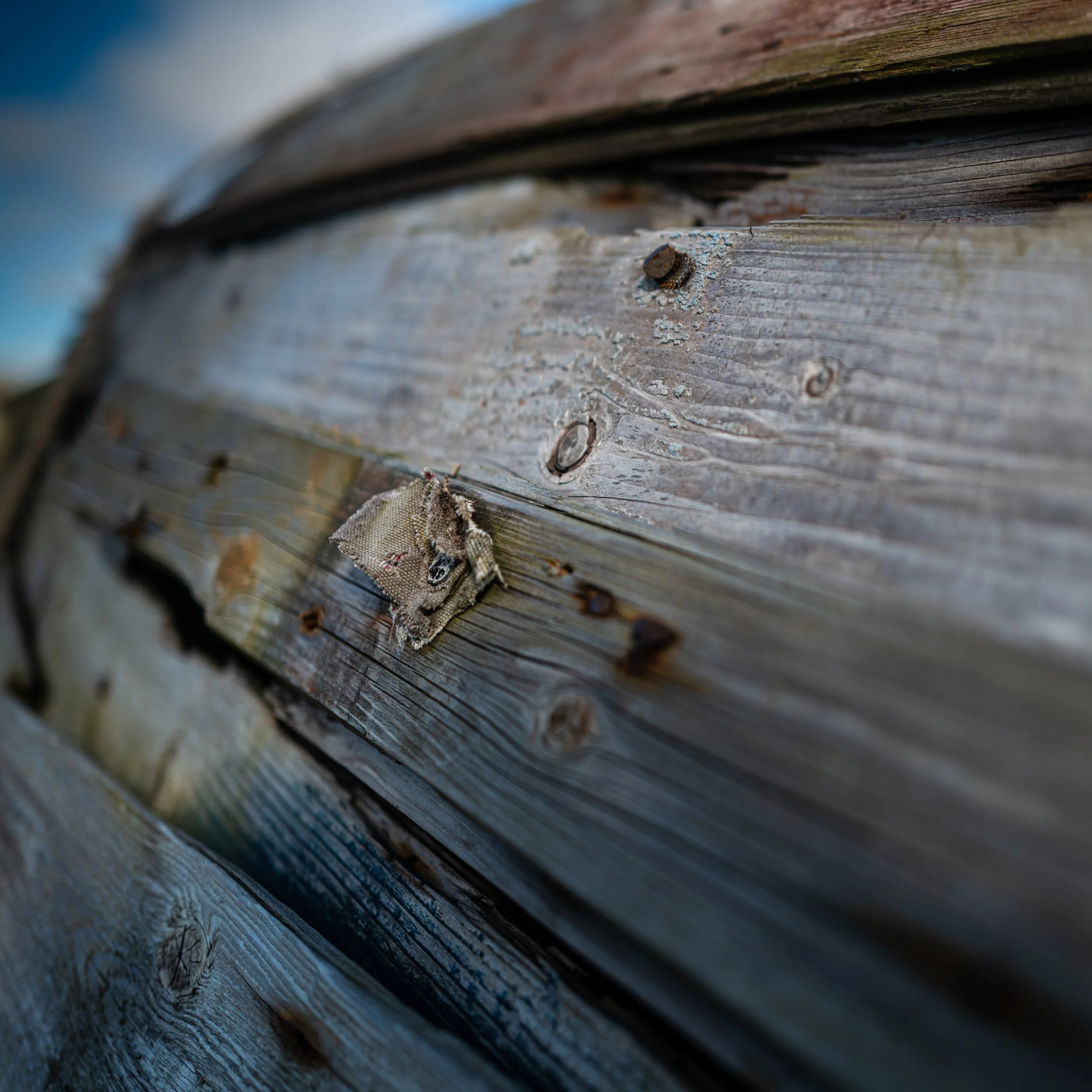 BOAT LINDISFARNE.jpg