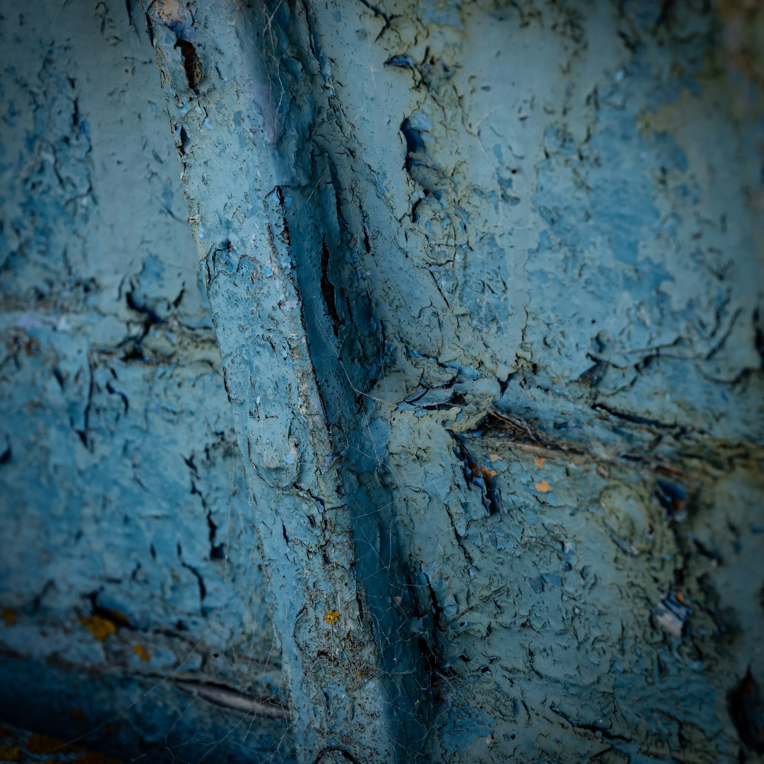 BLUE BOAT PAINT.jpg
