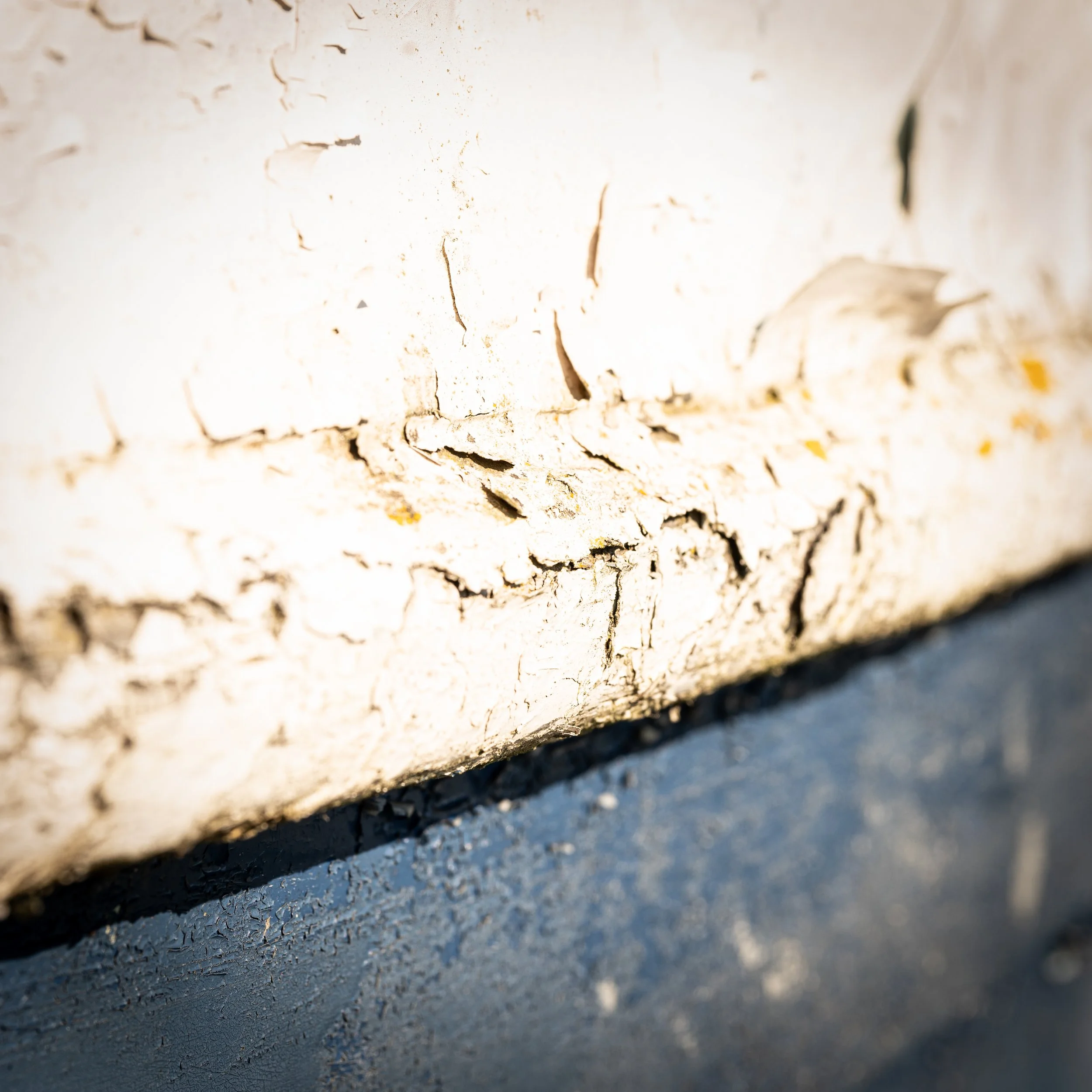 PAINT PEEL BOAT.jpg