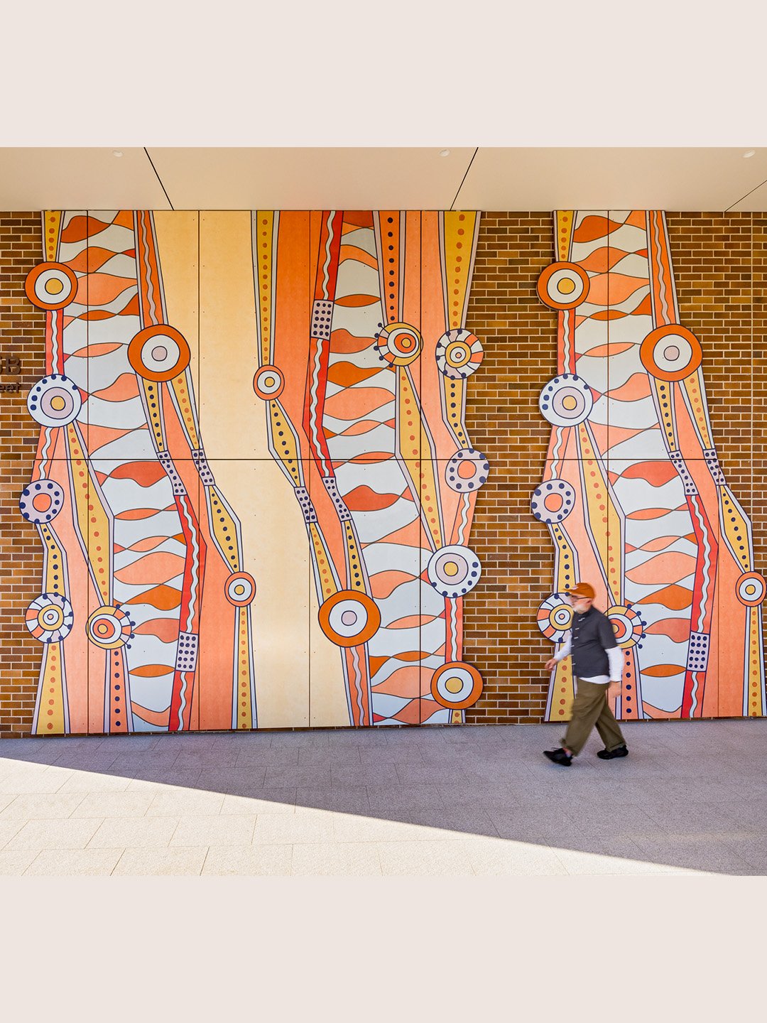 1 Angophora Adam Laws.jpg