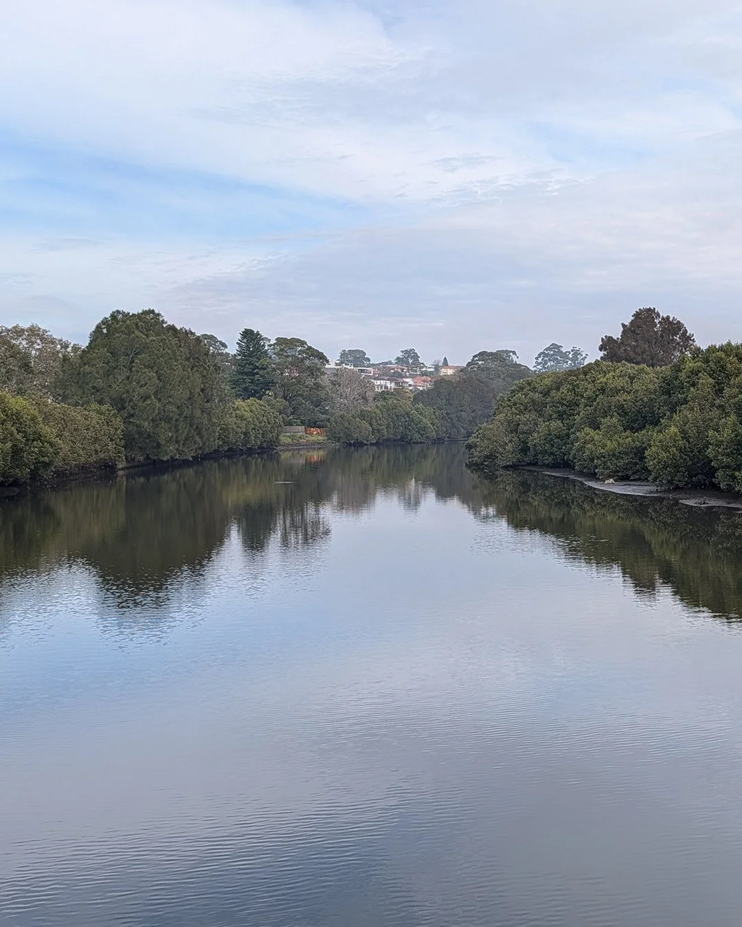 6 Cooks River Ewen Park Hurlstone Park.jpg