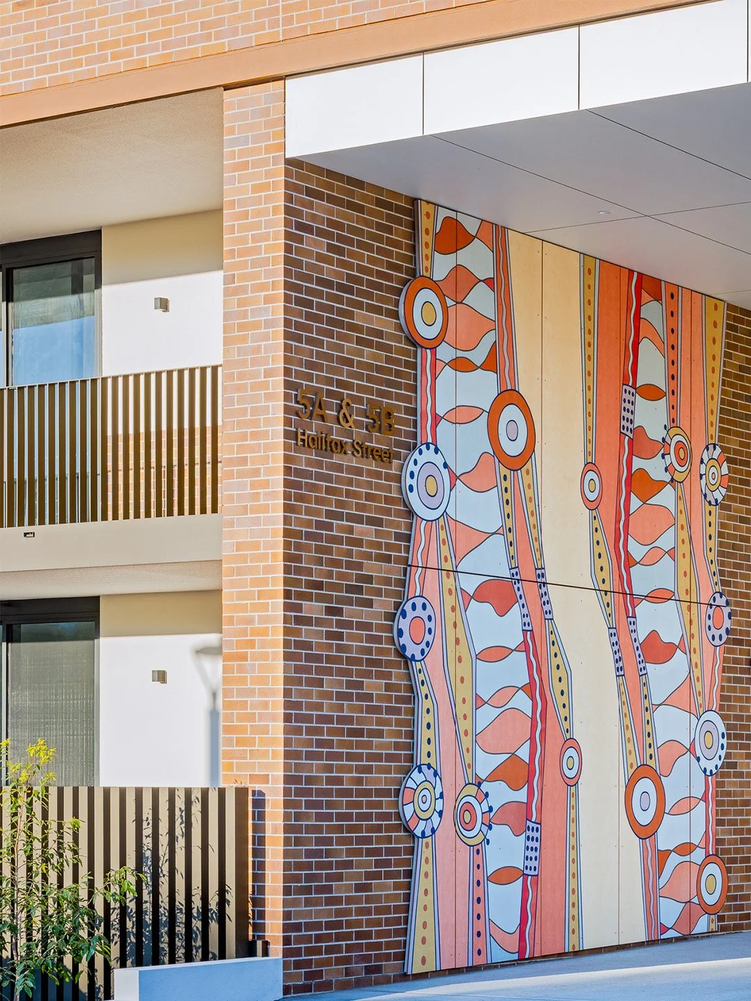 2 Angophora detail Adam Laws.jpg