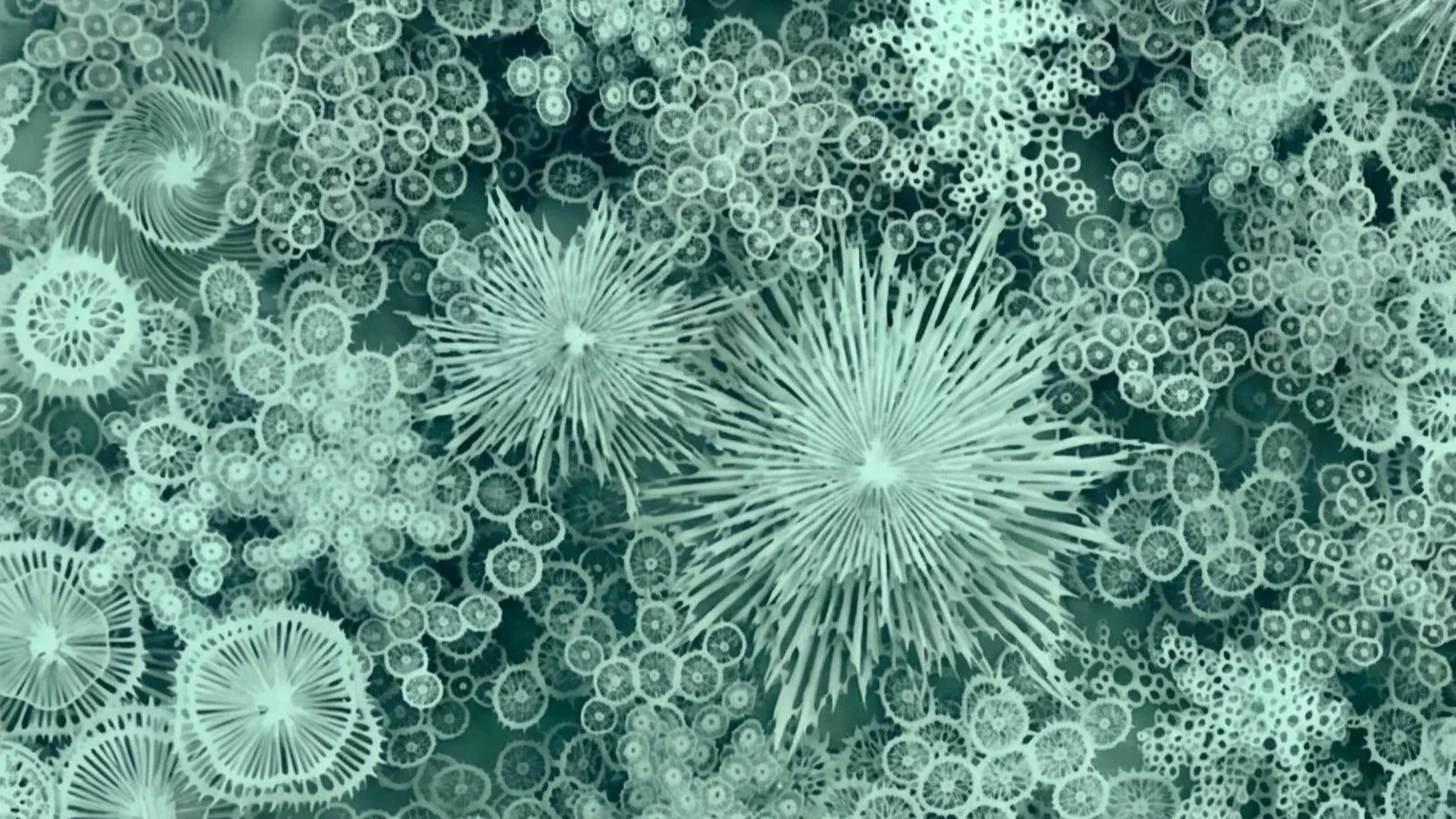 Synthetic Hits: Justice Data Studio: 