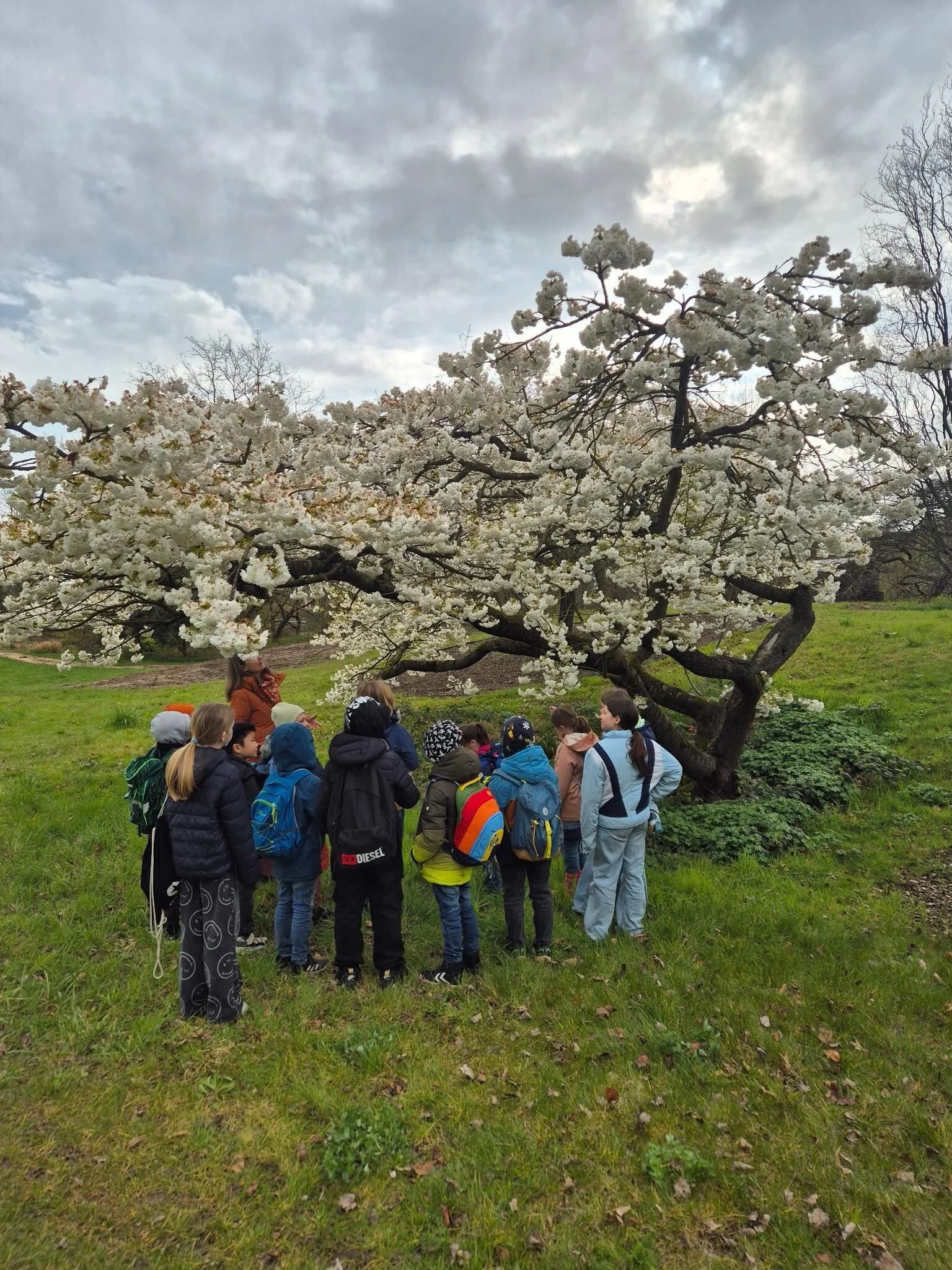Ausflug in den Botanischen Garten der HHU in Düsseldorf
