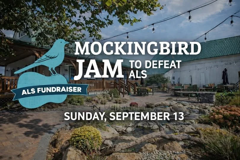 The Mockingbird Jam to defeat ALS - Caricatures