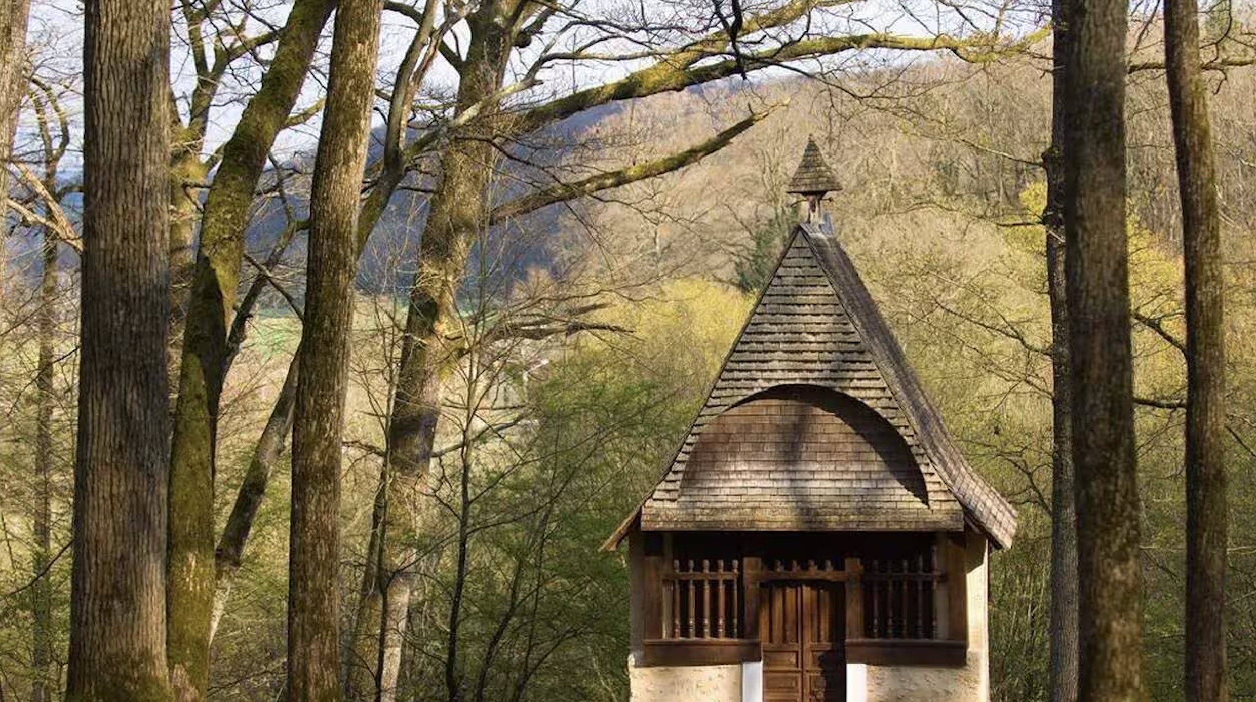 Une petite cabane en bois entourée d'arbres dans une forêt.