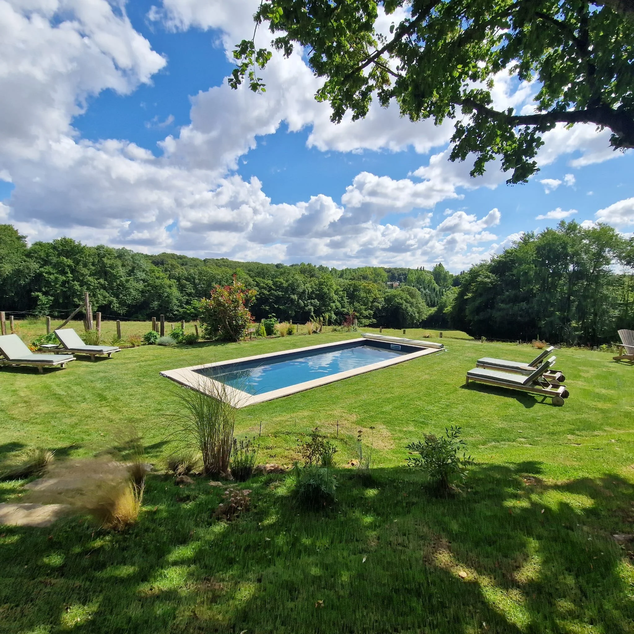 Jardin verdoyant avec piscine, chaises longues en bois, arbres et ciel bleu avec nuages blancs.