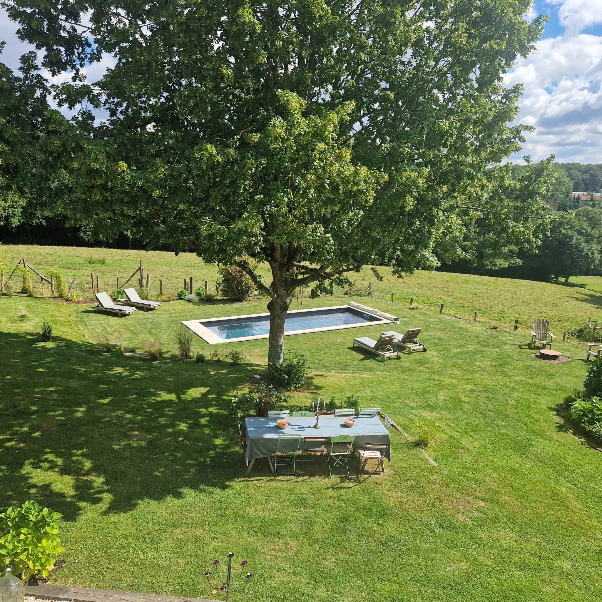 Un grand arbre verdoyant dans un jardin avec une petite piscine. Sur l'herbe, deux chaises longues blanches. En arrière-plan, une zone de pelouse et des arbres plus lointains, ciel bleu avec quelques nuages.