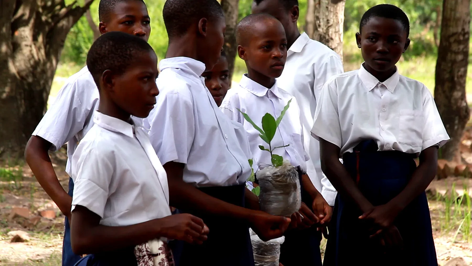 Schoolchildren in Kipili, Tanzania, holding a young tree sapling during an environmental education and tree-planting activity near Lake Tanganyika.