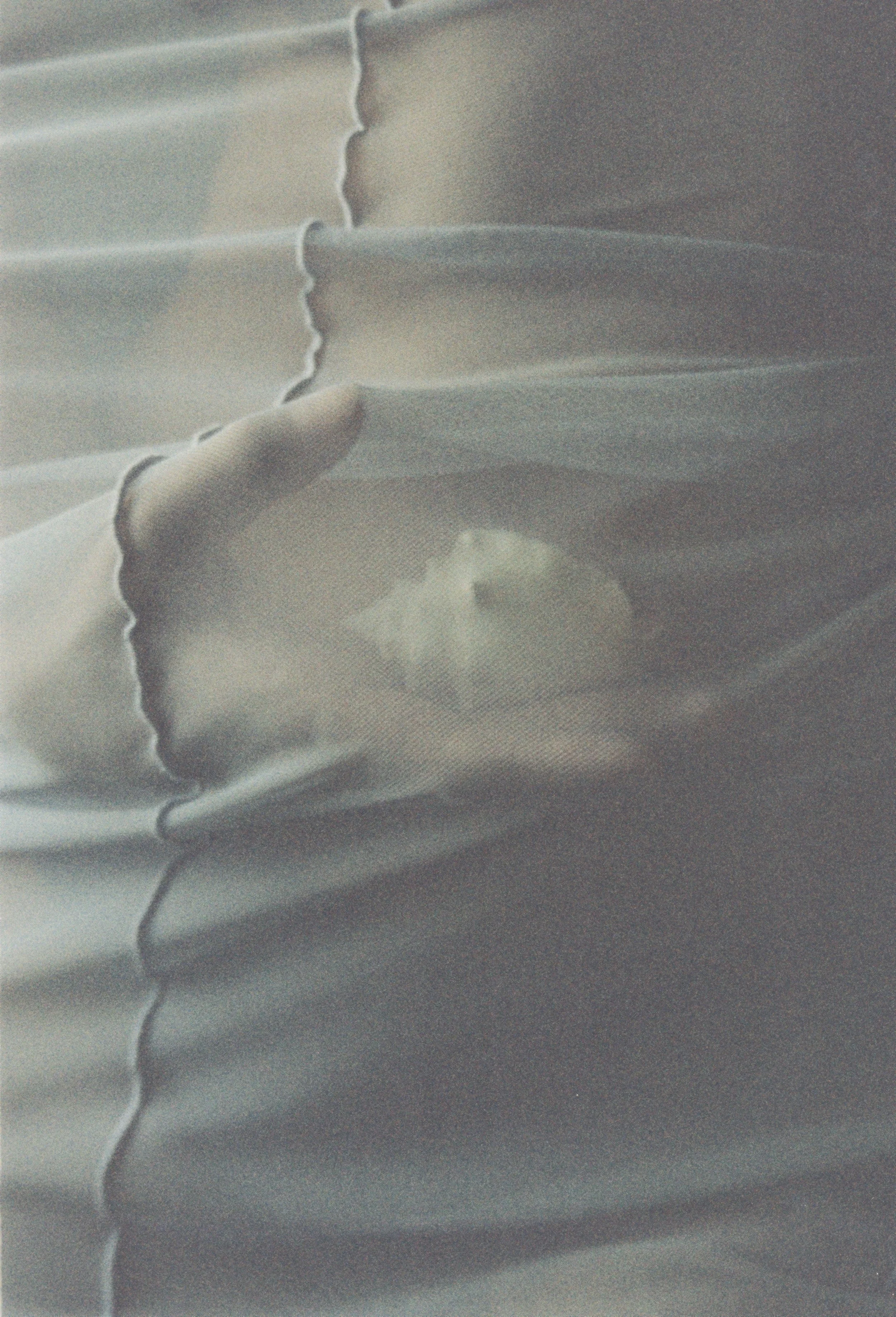 Hand holding a seashell beneath translucent fabric.