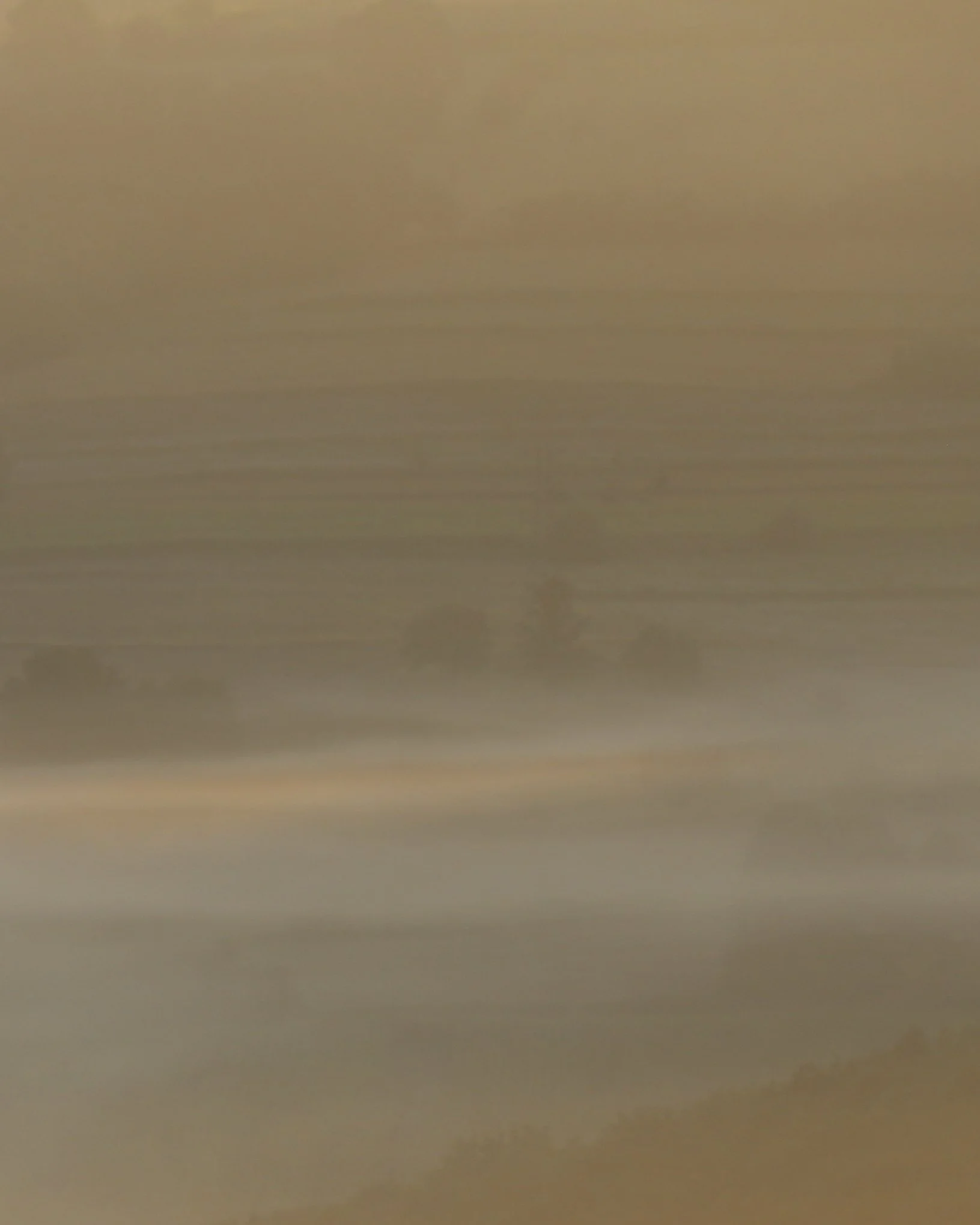 A dark and foggy landscape with rolling hills and scattered trees in the distance, under a cloudy sky.