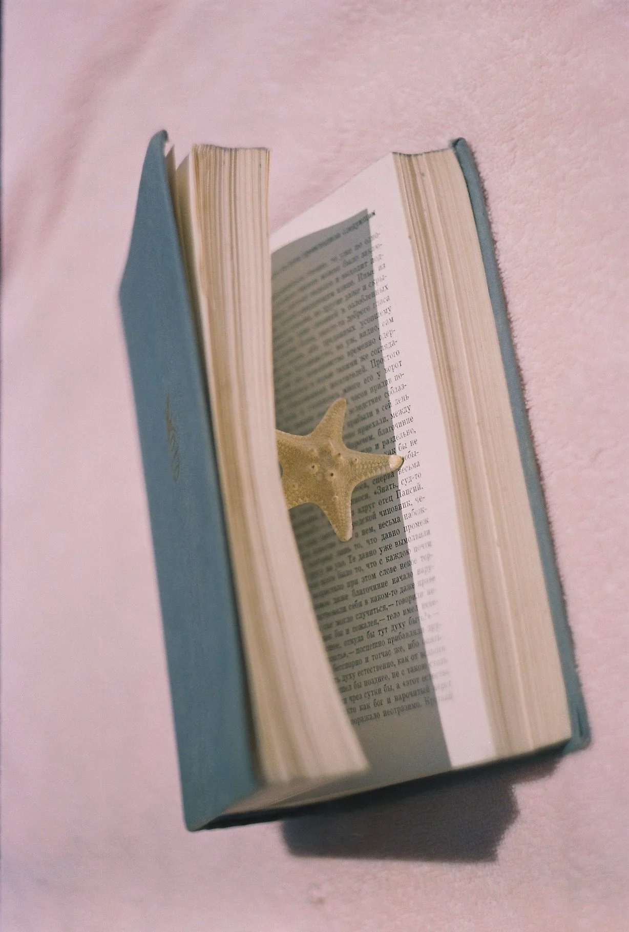 Open book with a starfish on the pages, reflected in a mirror that is part of the book, on a pink background.