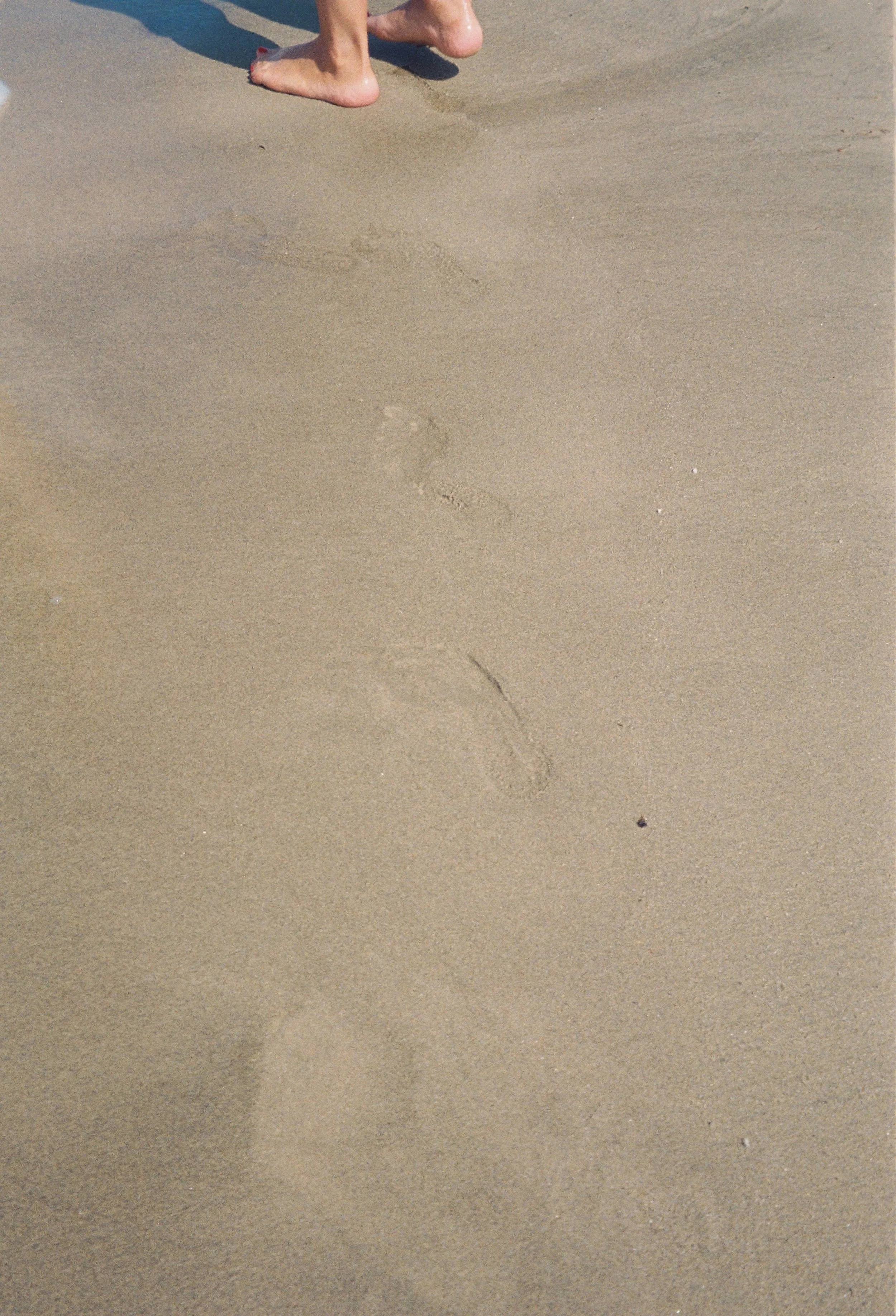 A person's bare feet walking on wet sand at the beach, leaving footprints behind.