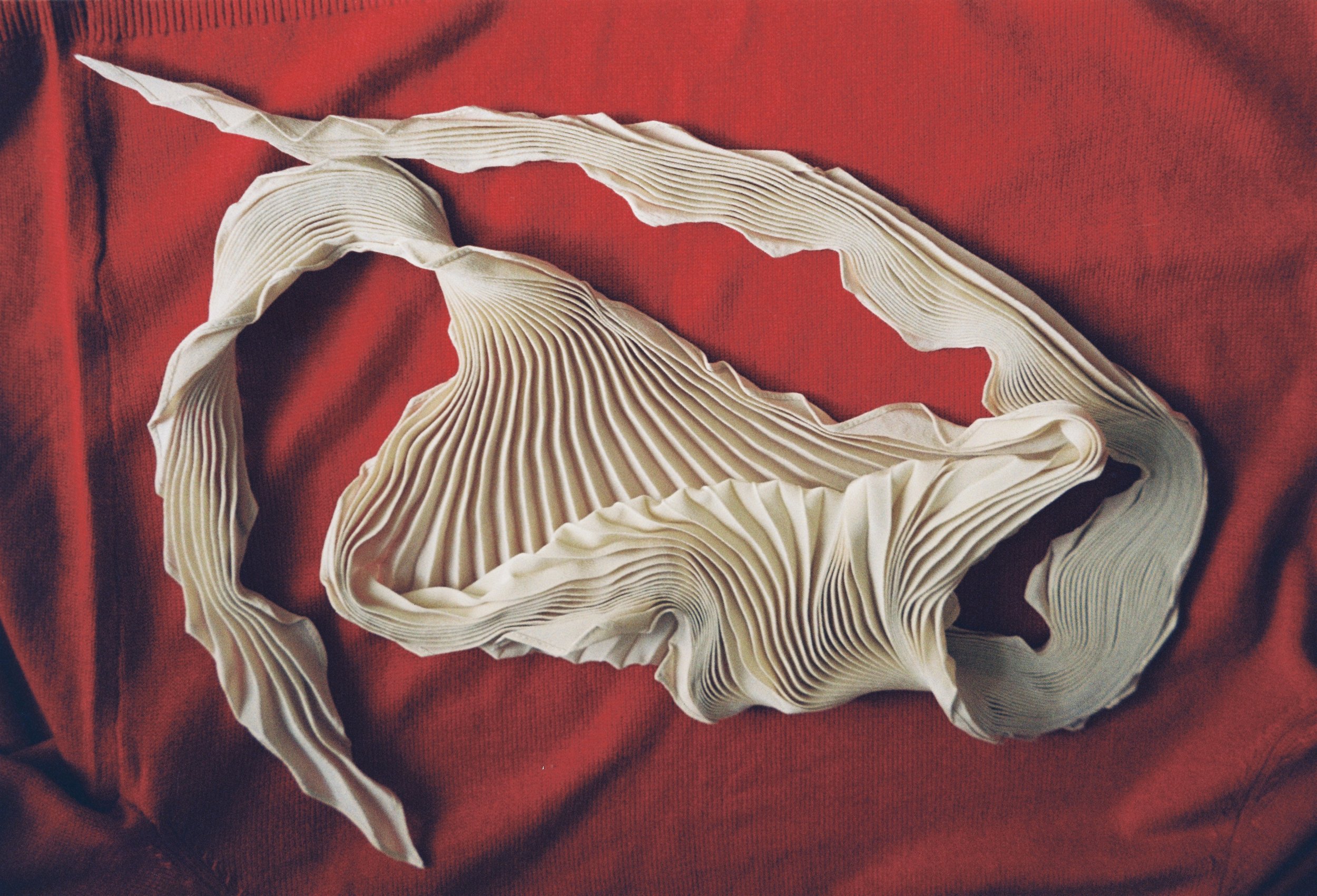 Pleated cream Soeur scarf arranged on a red fabric background.