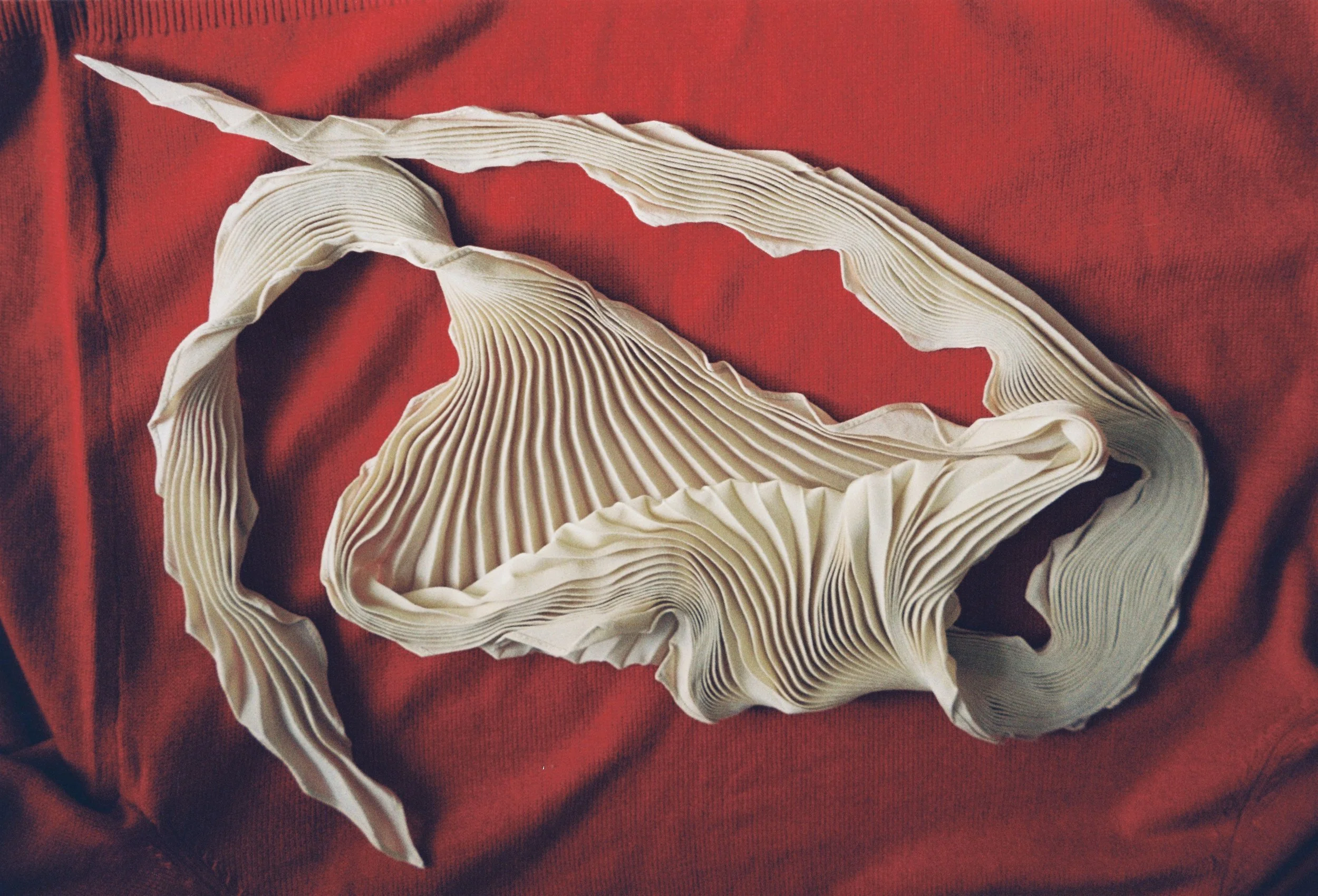 Pleated Soeur scarf on red background