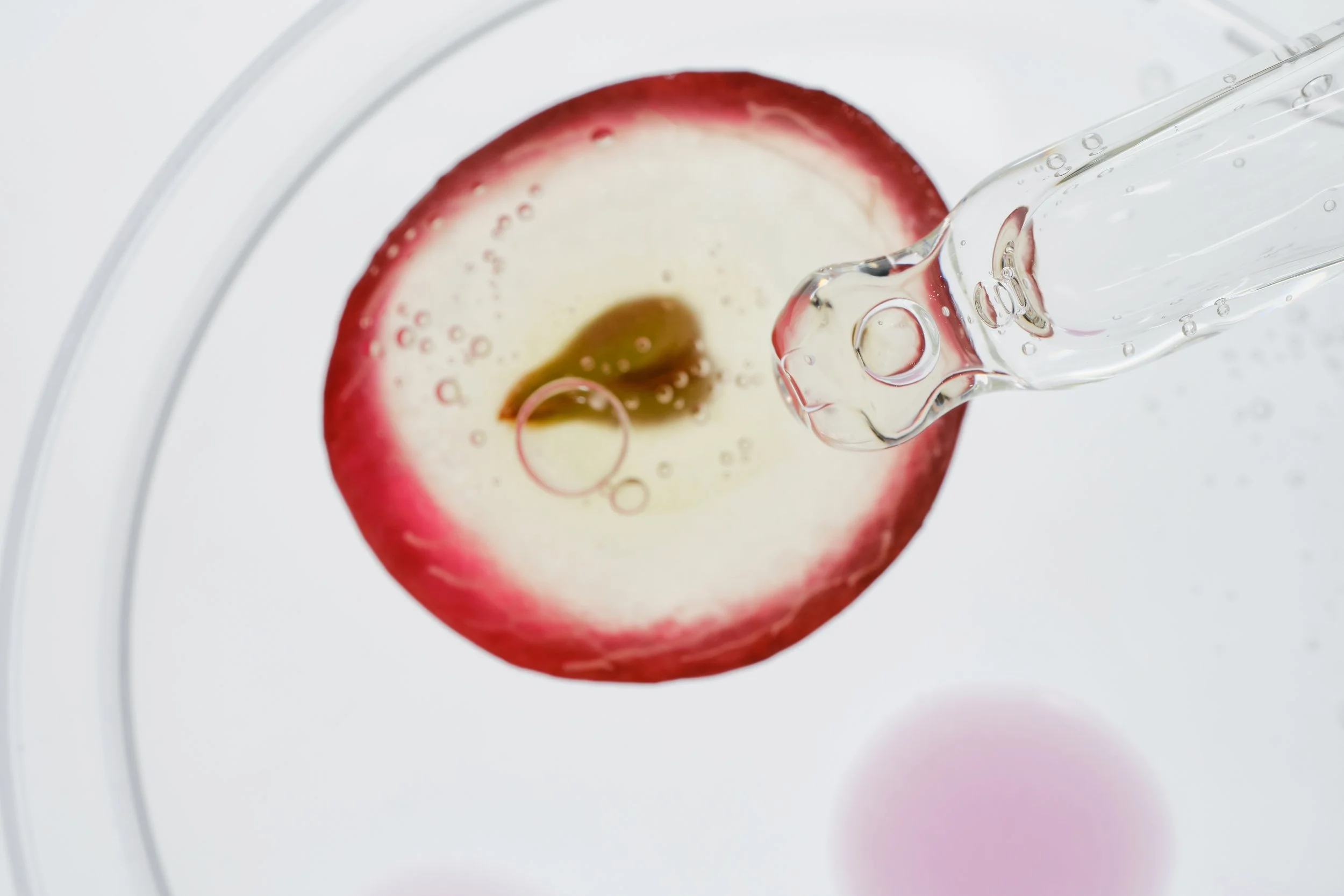 Amber Infusion & Lipid Barrier Renewal MELANY LAB