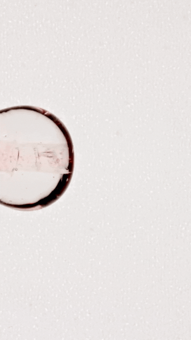 Advanced Exosome Barrier Serum.gif