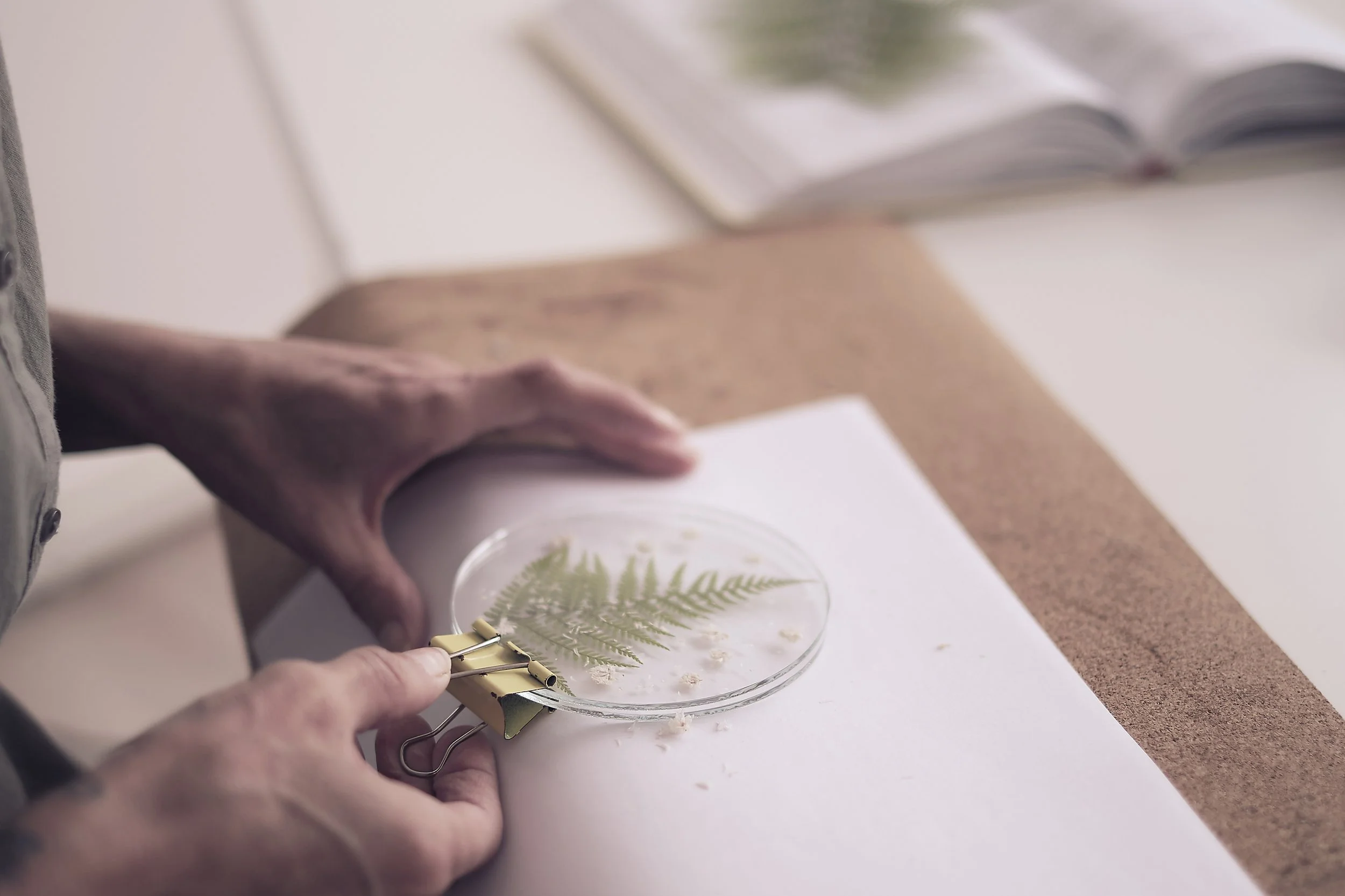 Person holding a petri dish with a fern leaf imprint and a small metallic tool, with an open book and blurred plant images in the background.