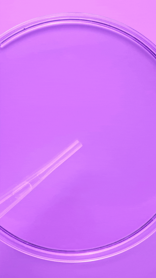 Purifying Botanical Toner.gif