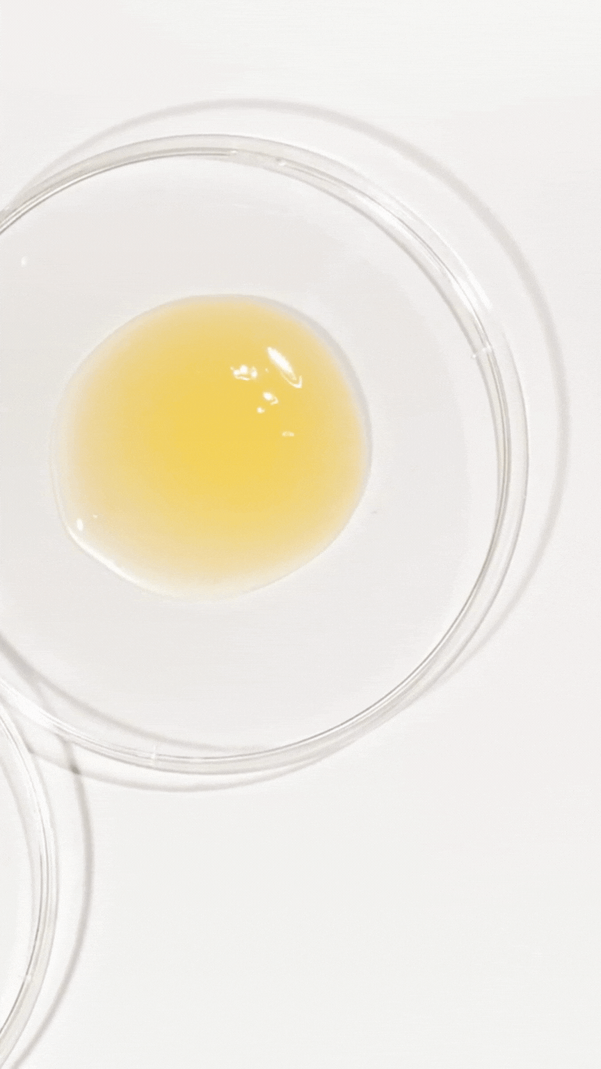 Radiant Essence Multi-Oil gt 6.gif