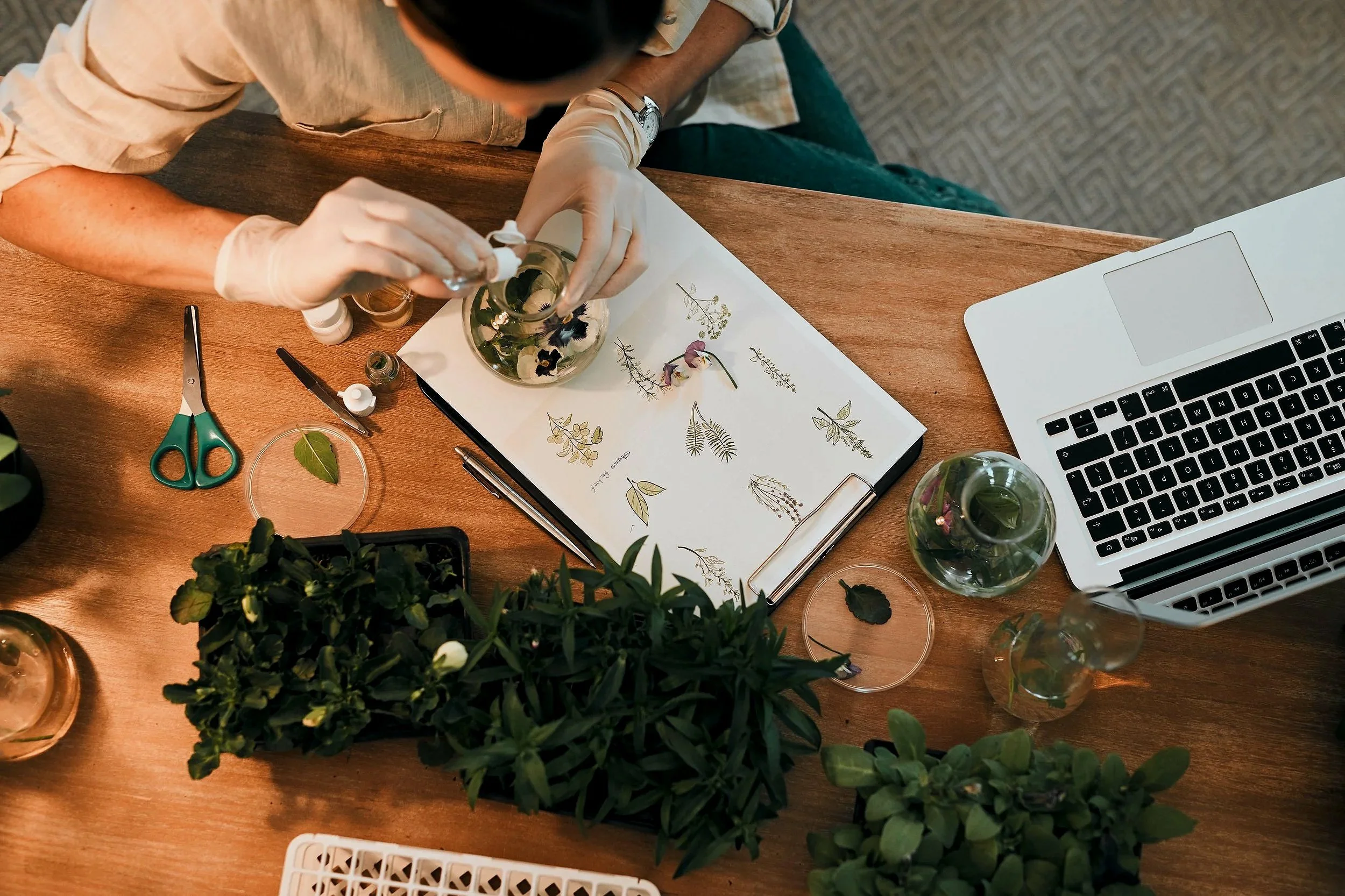 Overhead view of a workspace with plants, scissors, a notebook with plant illustrations, a laptop, a glass of water with flowers, and small bottles, with a person wearing gloves working with plants.