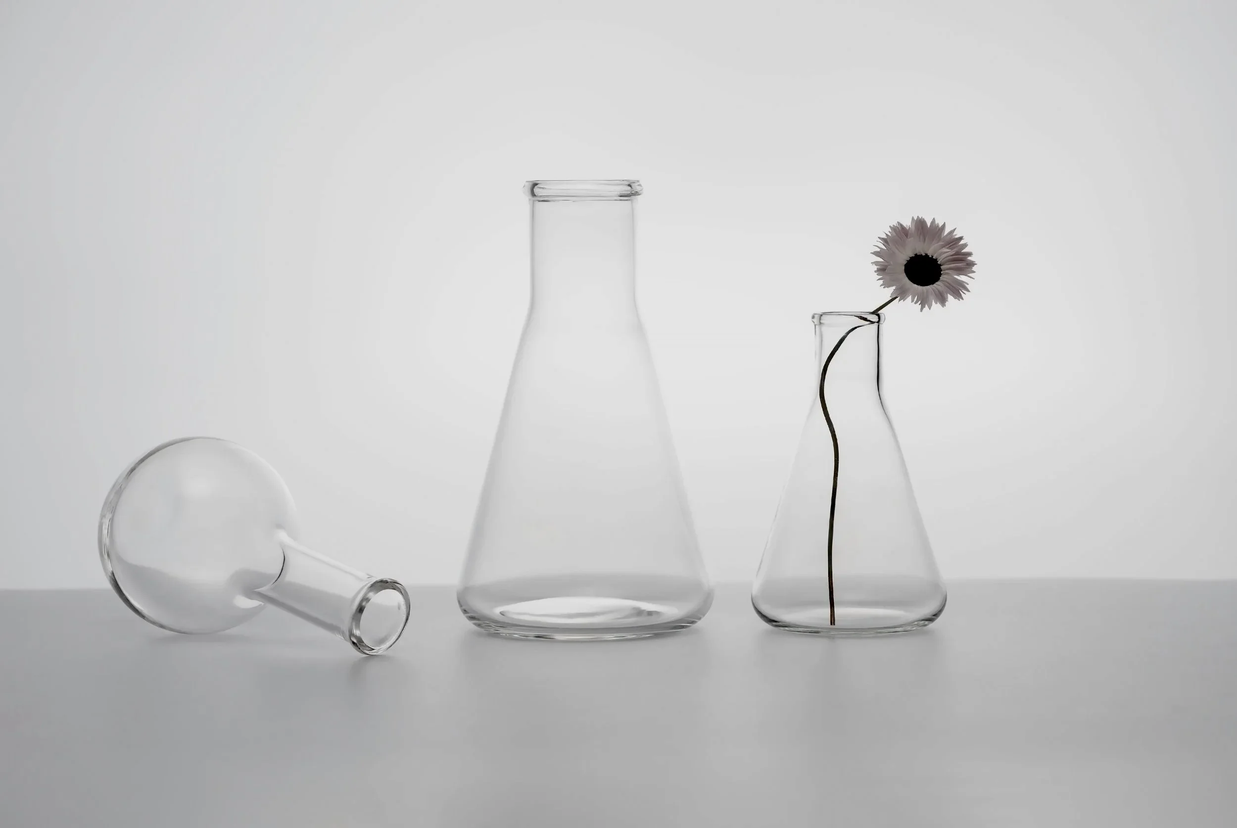 A collection of transparent glass laboratory equipment, including an overturned test tube, a flared flask, and a narrow-necked bottle with a single flower in it, arranged on a plain surface with a neutral background.