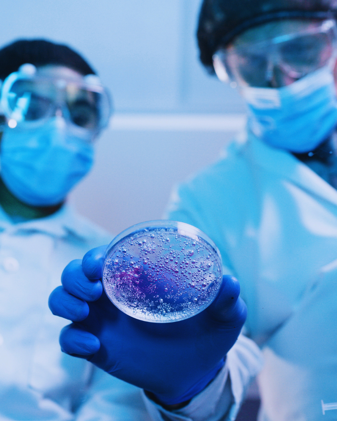 Two scientists in protective gear and masks working in a laboratory, one holding a petri dish with a purple bacterial culture.
